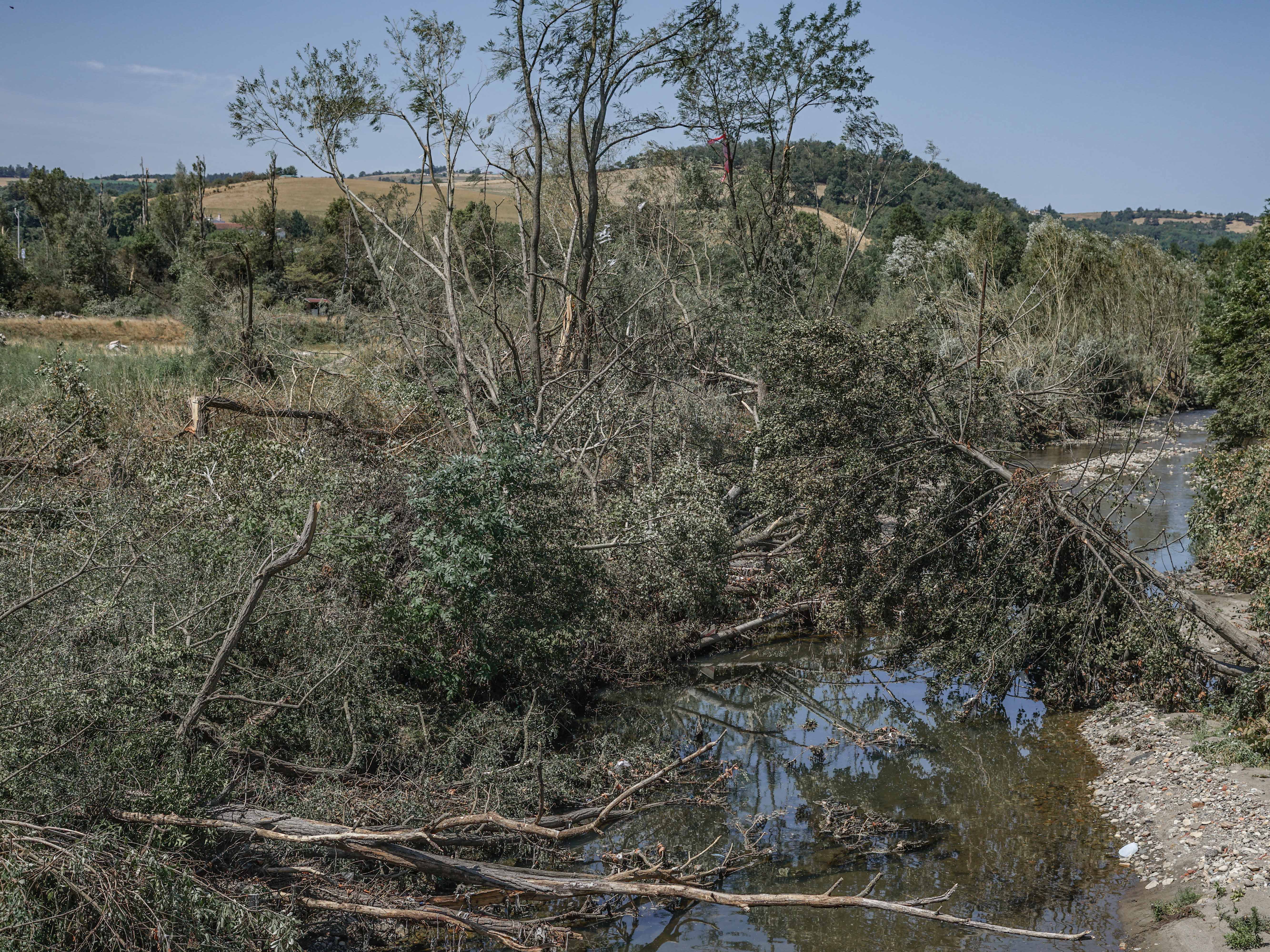 Arbres déracinés / brisés suite au passage de la tornade dans la banlieue nord de Saint Etienne le 16 juillet 2026. - 20/07/2026 12:36 - Lony Jouin