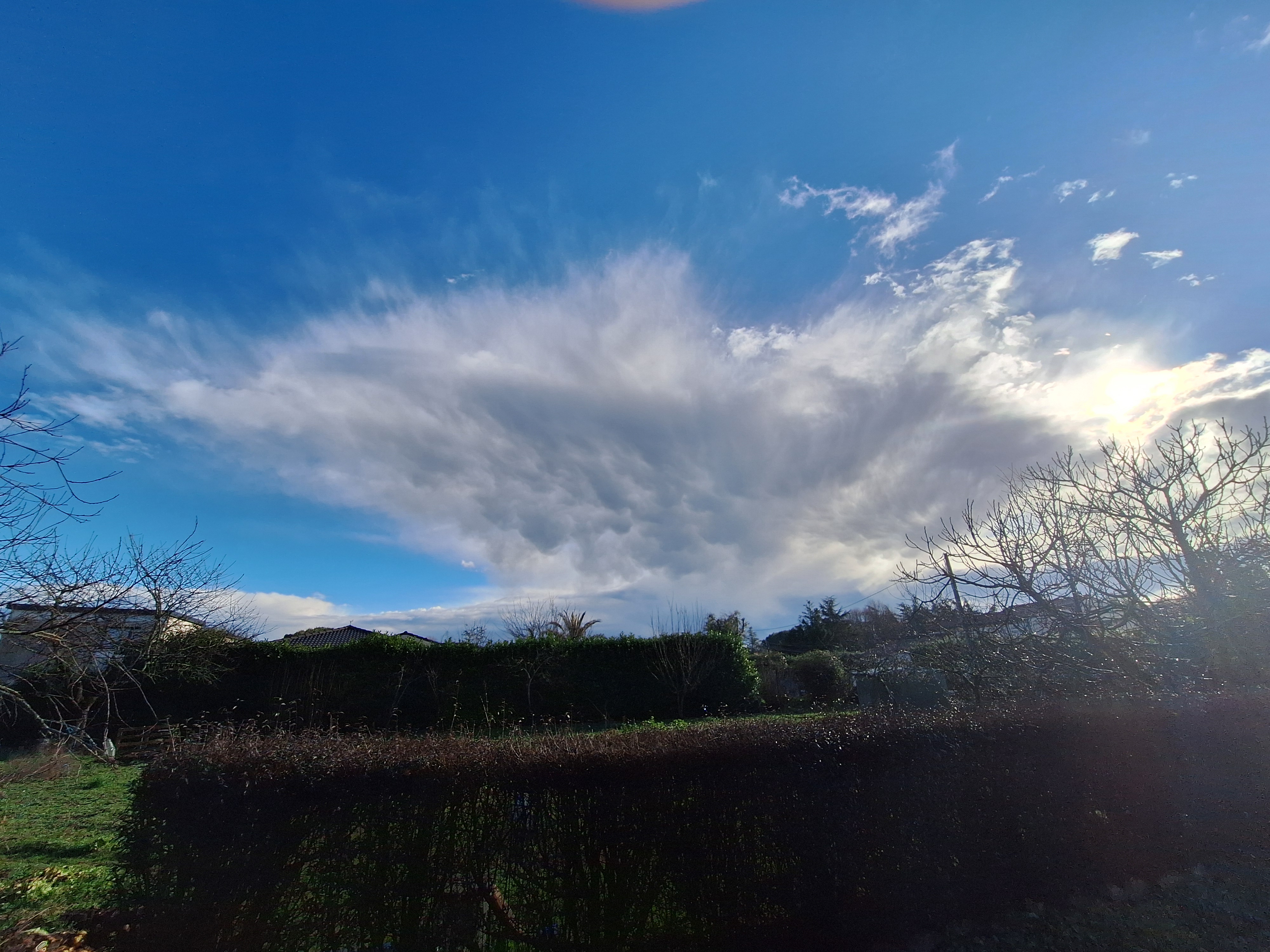 Après le déluge, le beau temps (Cornebarrieu, Haute Garonne) - 23/01/2026 11:05 - Flo Chaim