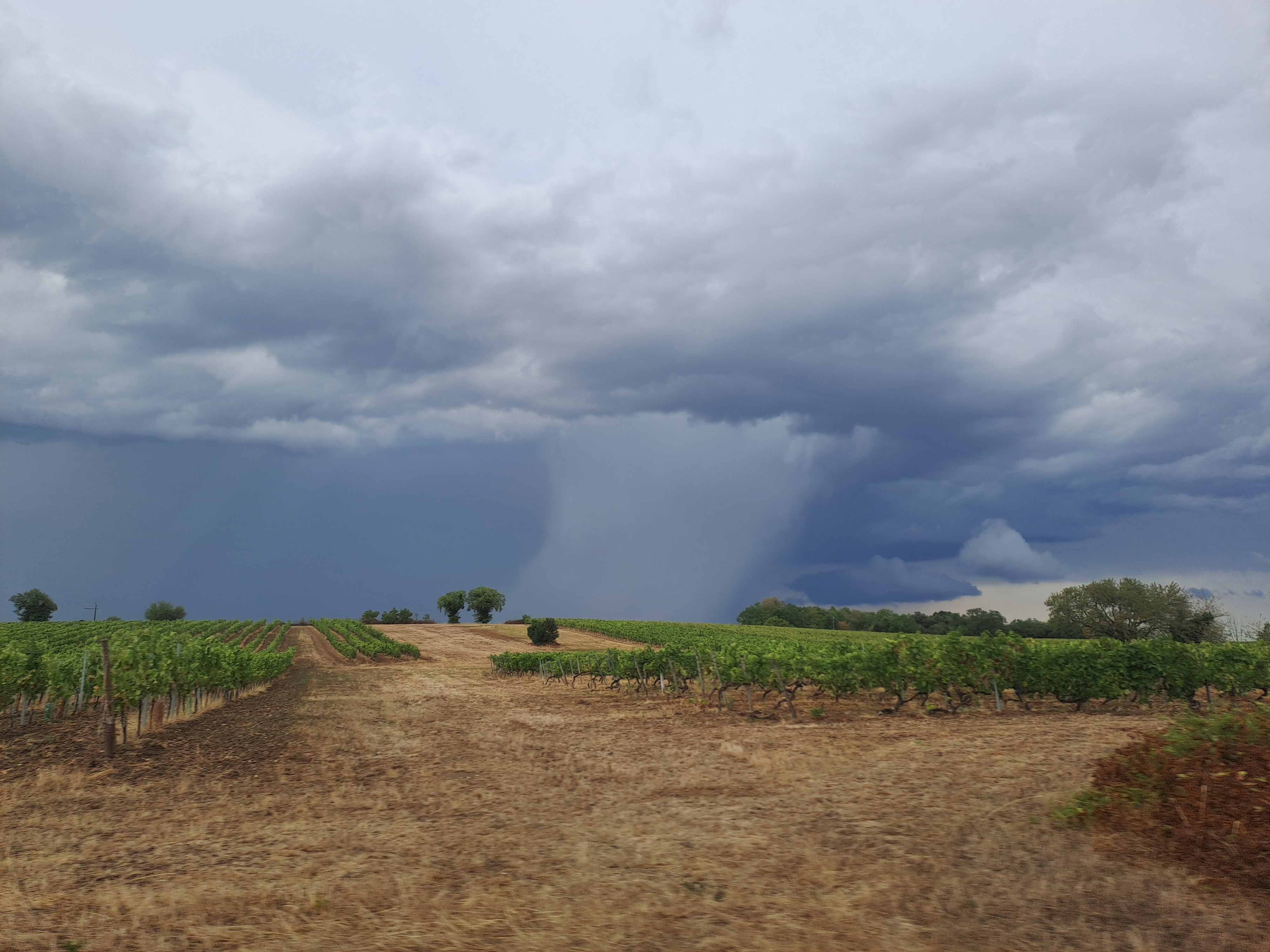 Au dessus du fleuve Charente proche de st même les carrières en Charente. - 24/08/2026 16:49 - Claire Bonnin