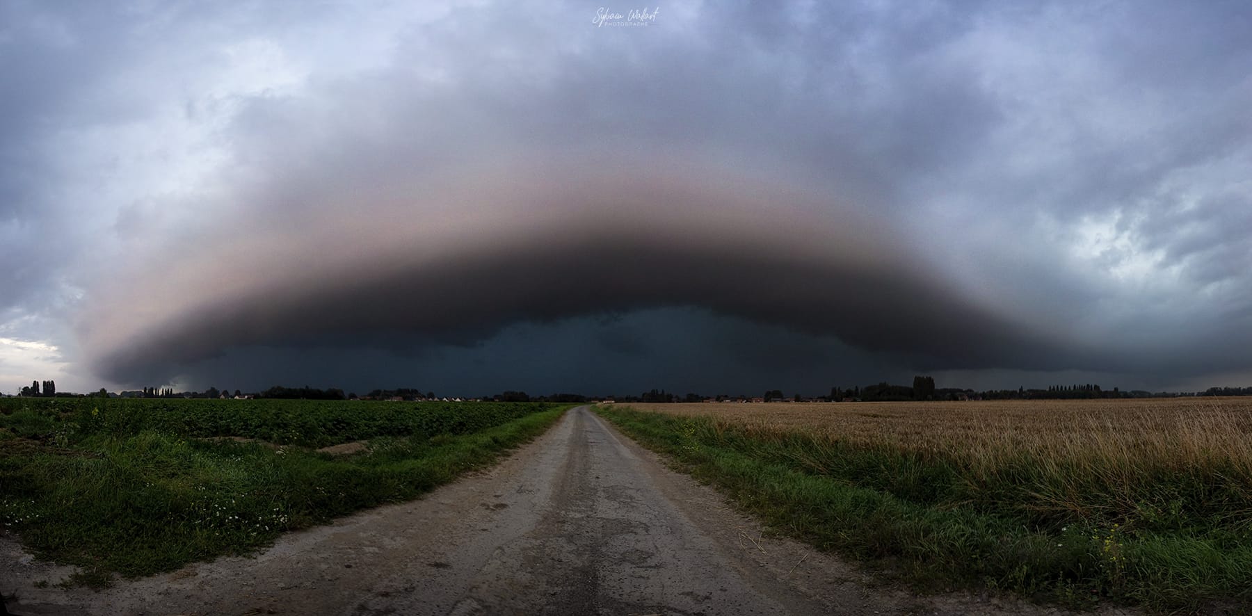 Il y avait beaucoup d'éclairs sous cet orage, mais très peu dans le boitier..
Quelques instants plus tard, un magnifique arcus s'est formé à l'avant de cette cellule orageuse.
Le ciel était légèrement éclairé par le soleil qui se couchait, quelques minutes plus tard, le ciel s'est coloré mais trop de pluie pour sortir...
En tout cas, c'était une belle petite chasse ! - 24/07/2021 21:25 - Sylvain Wallart