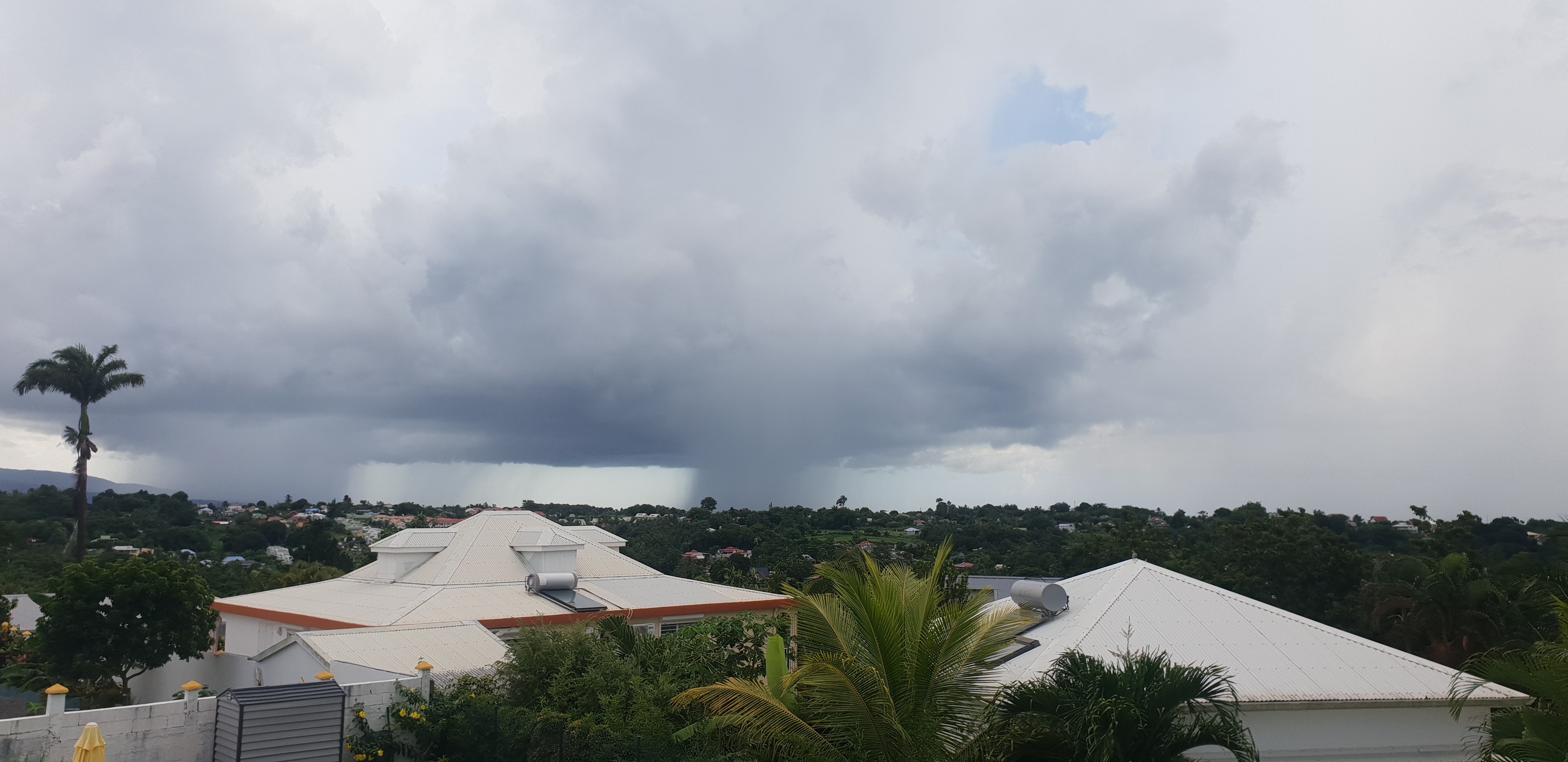 Cumulonimbus Calvus avec rideau de pluie sur la commune de Baie-Mahault., Guadeloupe (971). Contexte de panne d'alizé instable, vents faibles d'est favorisant l'éclosion d'averses orageuses localisées et de cellules orageuses stationnaires accompagnés de fort cumuls de pluie. - 25/09/2025 16:05 - Steeve Saint-Clément