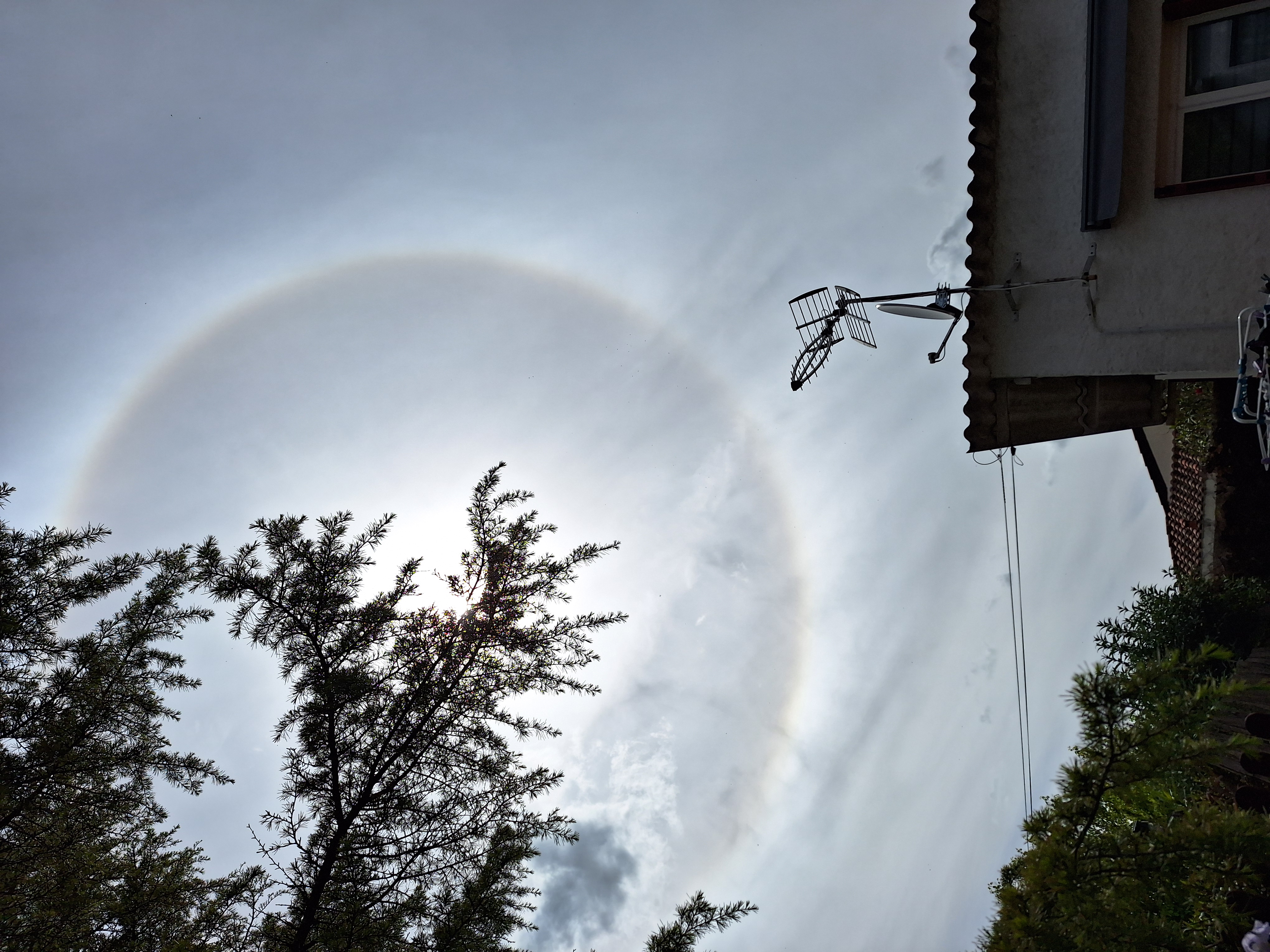 Un halo autour du soleil, à Cornebarrieu (31) vers 16h ce vendredi après-midi. - 26/04/2024 15:59 - Florence Chaim