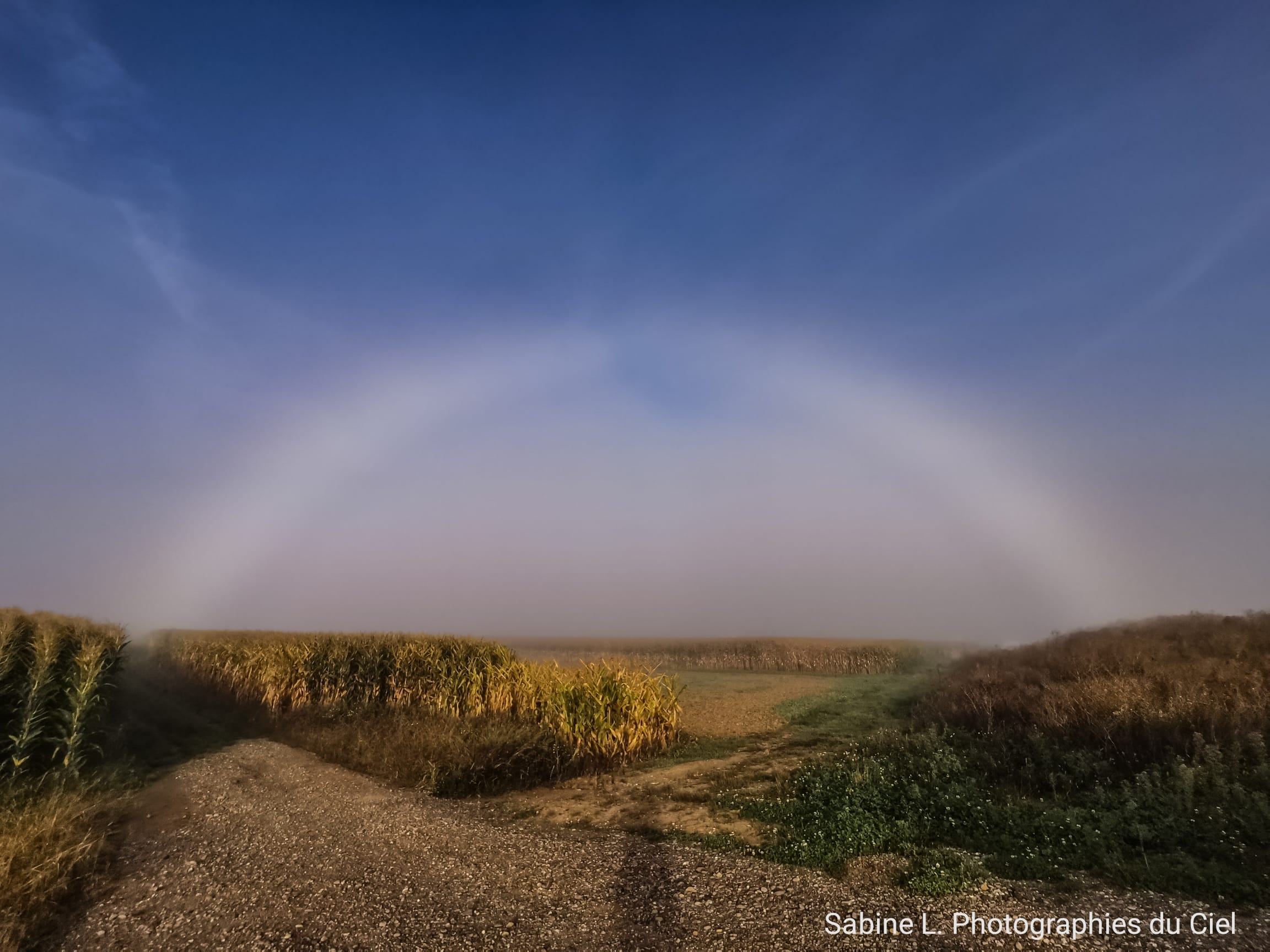 Arc blanc (fogbow) dans les nuages bas présents sur certains secteurs dans le Bas-Rhin ce matin!! Comme ici à Ittenheim (67). - 28/09/2021 08:48 - Sabine Lutz