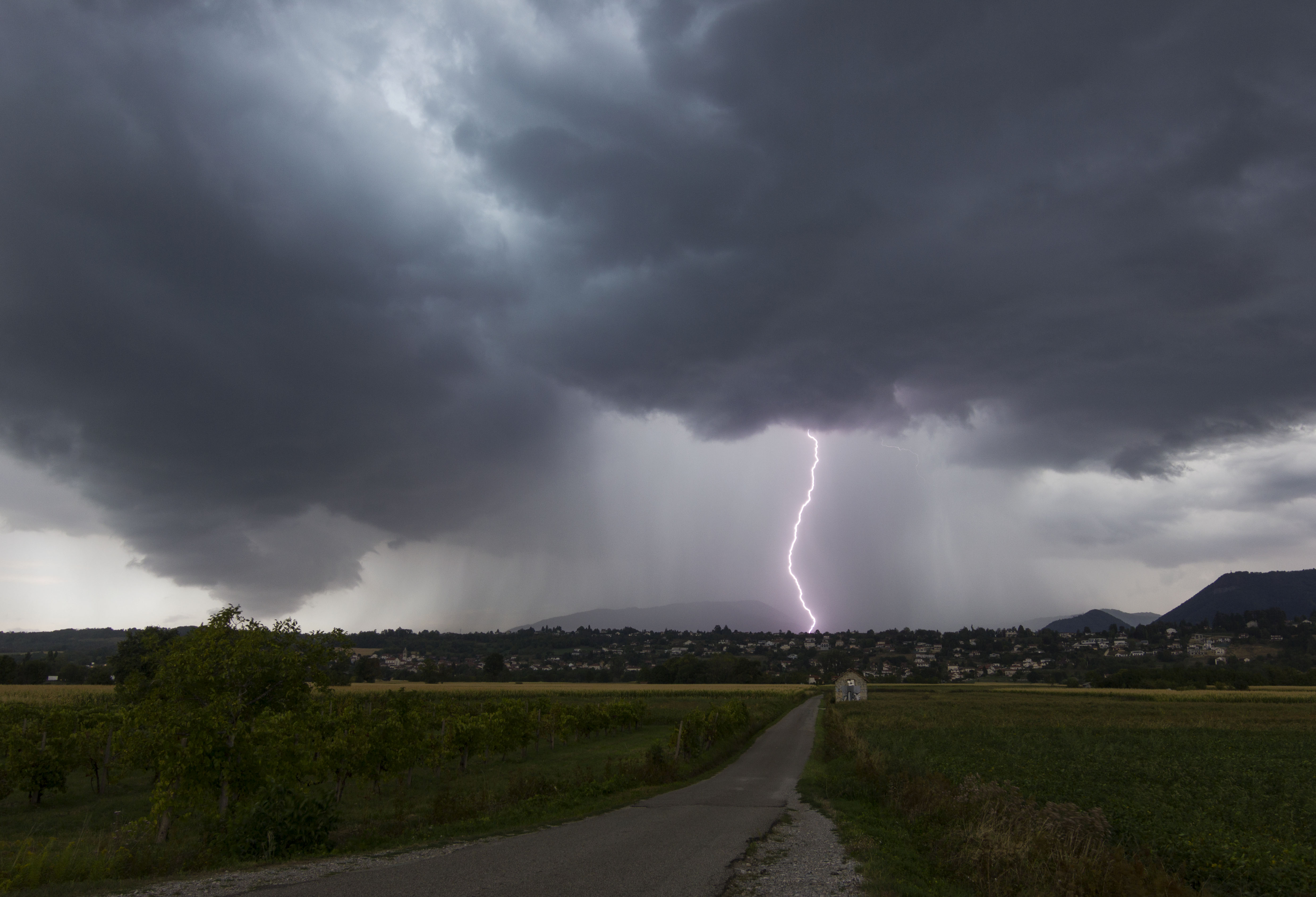 Plusieurs cellules ont transités en Isère ce 30 aout avec plus ou moins de foudre mais beaucoup de pluie. Une cellule assez esthétique du coté de voiron m'aura donné quelques jolies photos notamment quelques ramifiées pas encore traités. - 30/08/2022 15:00 - frederic sanchis