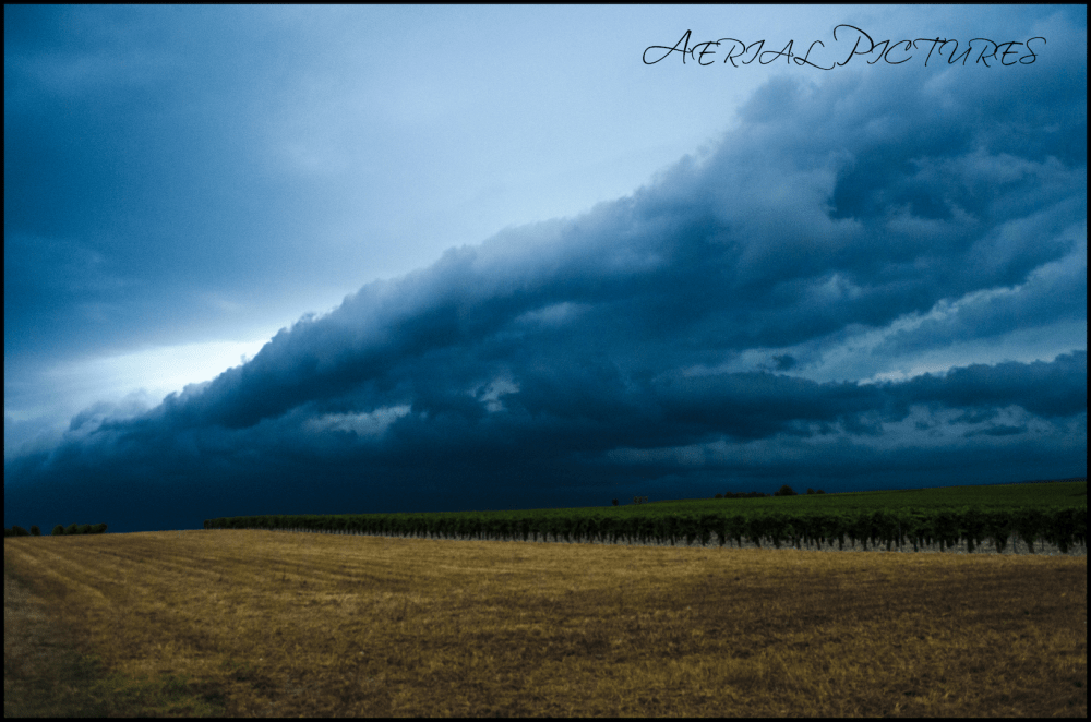 Au sud de Cognac, Lieu dit Tout Blanc. - 13/09/2016 22:00 - GIROUX Jean Louis