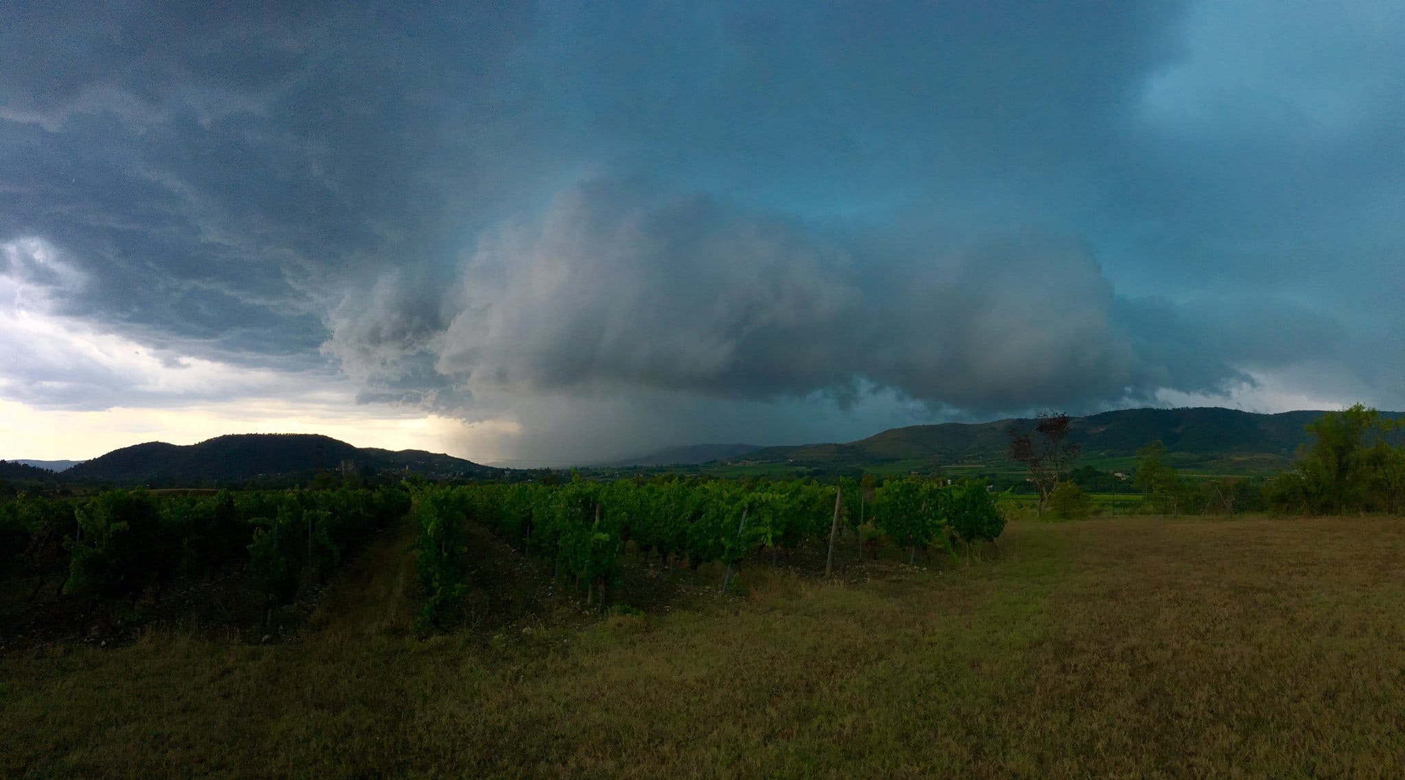 Fort orage à Alba-la-Romaine en Ardèche. - 10/07/2017 16:00 - Aurélien IBANEZ