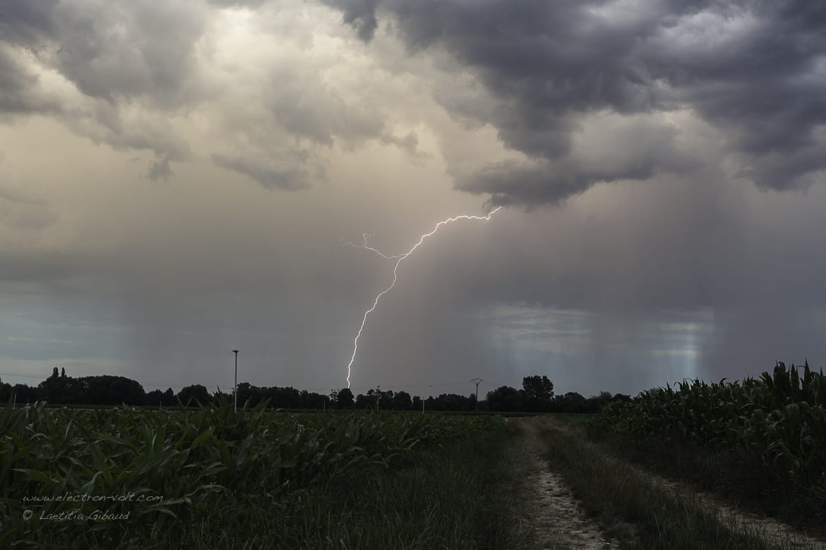 Orage en soirée vers Bartenheim (68) : une jolie cellule isolée au soleil couchant. La lumière était superbe ! - 20/07/2016 23:00 - Laetitia GIBAUD