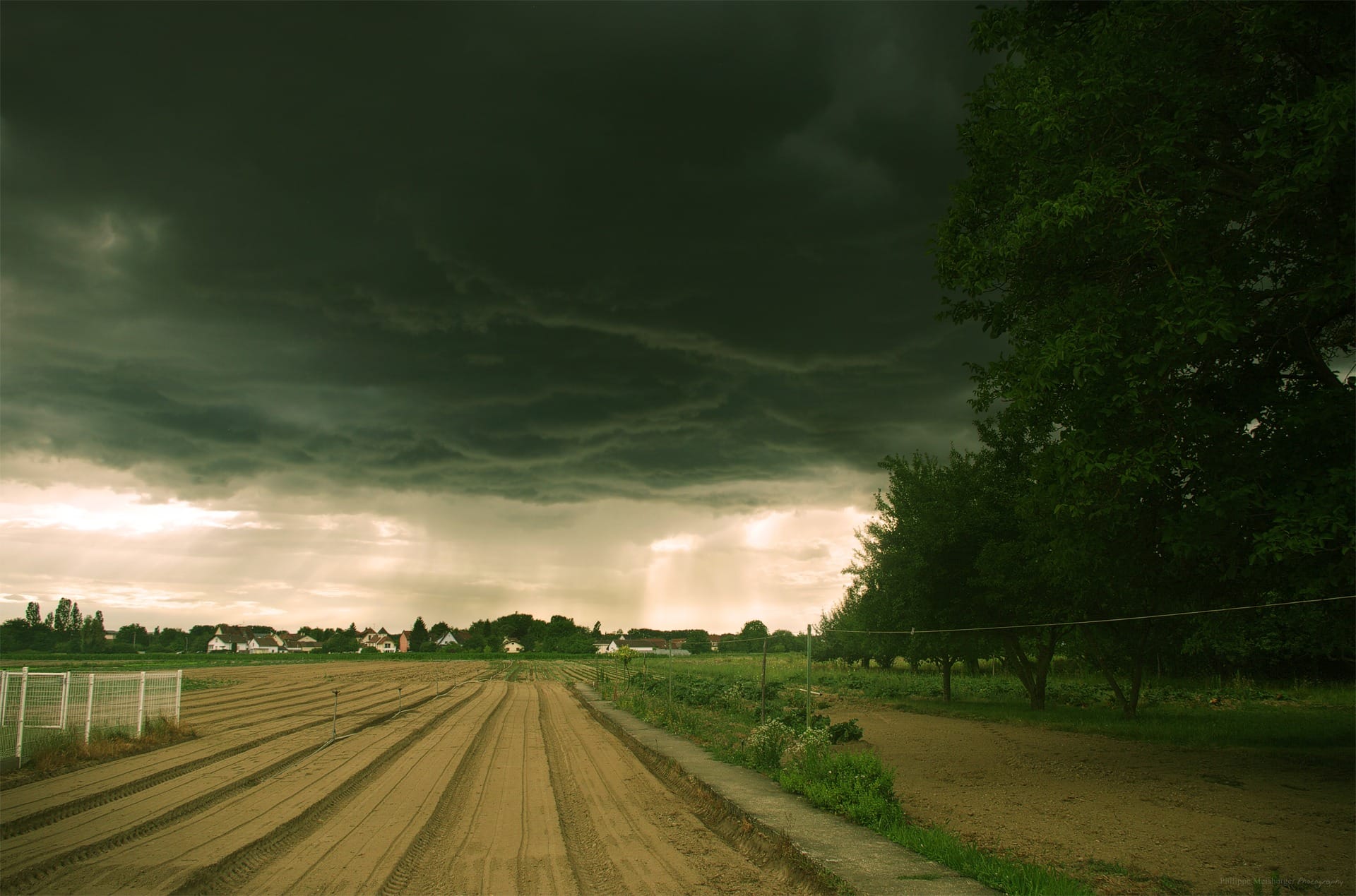 Front orageux arrivant sur Village-Neuf, Haut-Rhin, Alsace, Grand est, France - 29/06/2017 18:45 - Philippe Meisburger