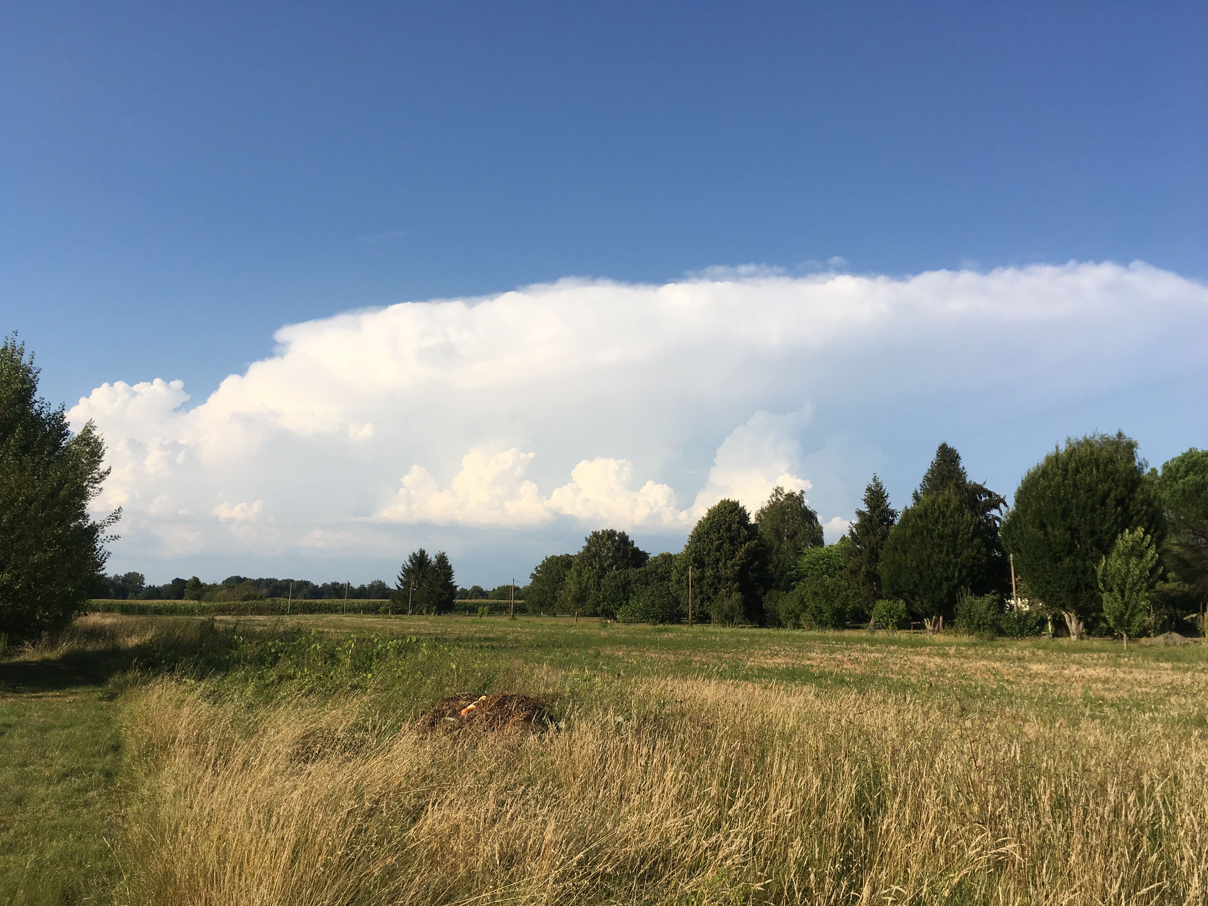 Formation orageuse visible depuis le village de Sainte-Terre (33) en direction du Nord-Est - 16/08/2016 20:39 - Christophe HUBERT