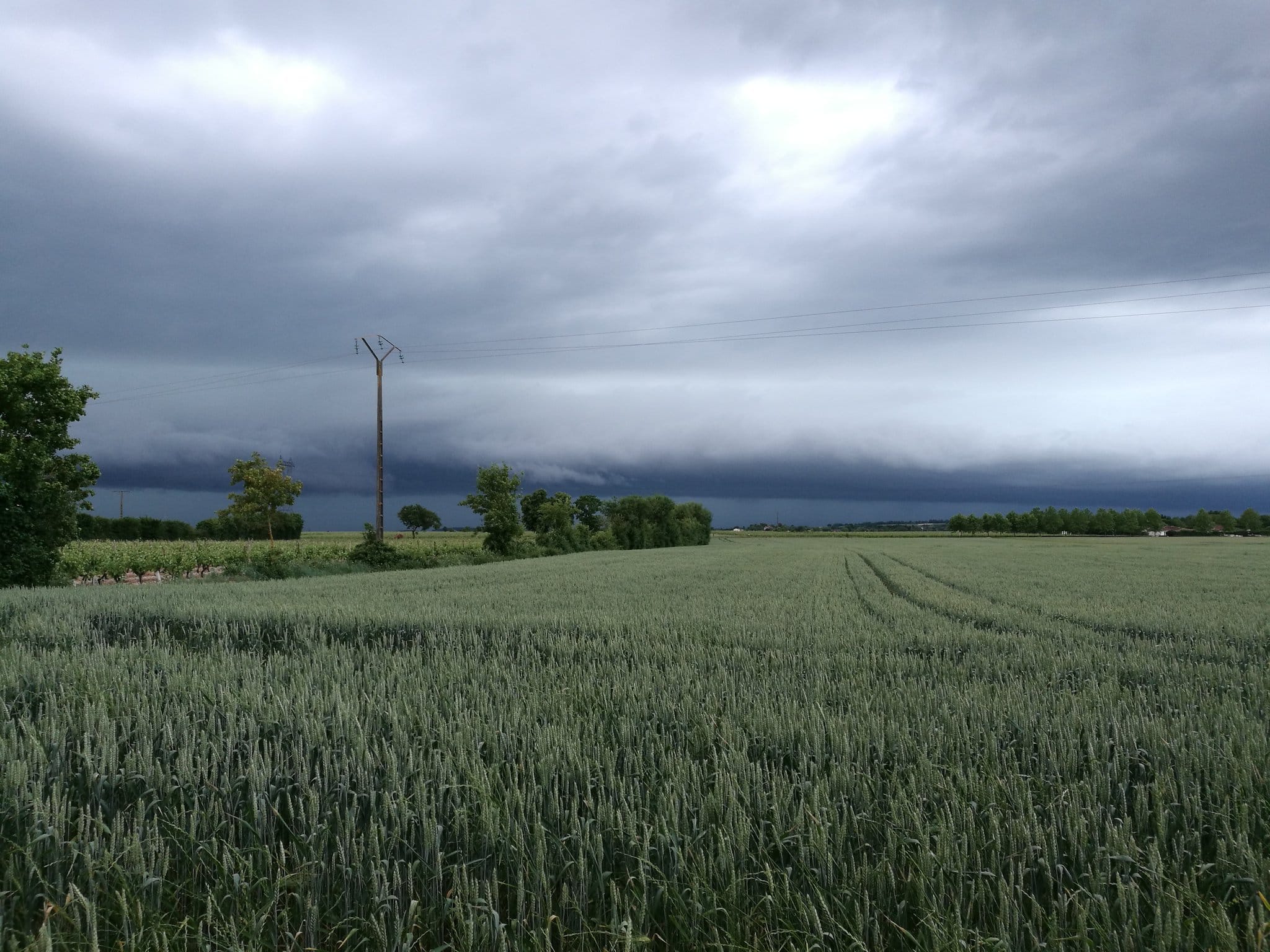 Passage d'orage aux alentours de Cognac - 26/05/2018 16:30 -  Jacquemin ?