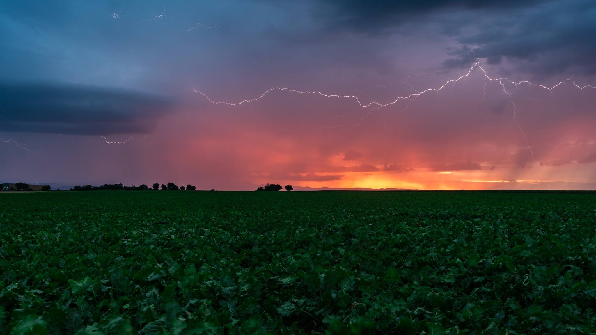 Orage en fin de journée sur la plaine de la Limagne (63) - 19/07/2017 20:00 - Allan PERRUSSEL