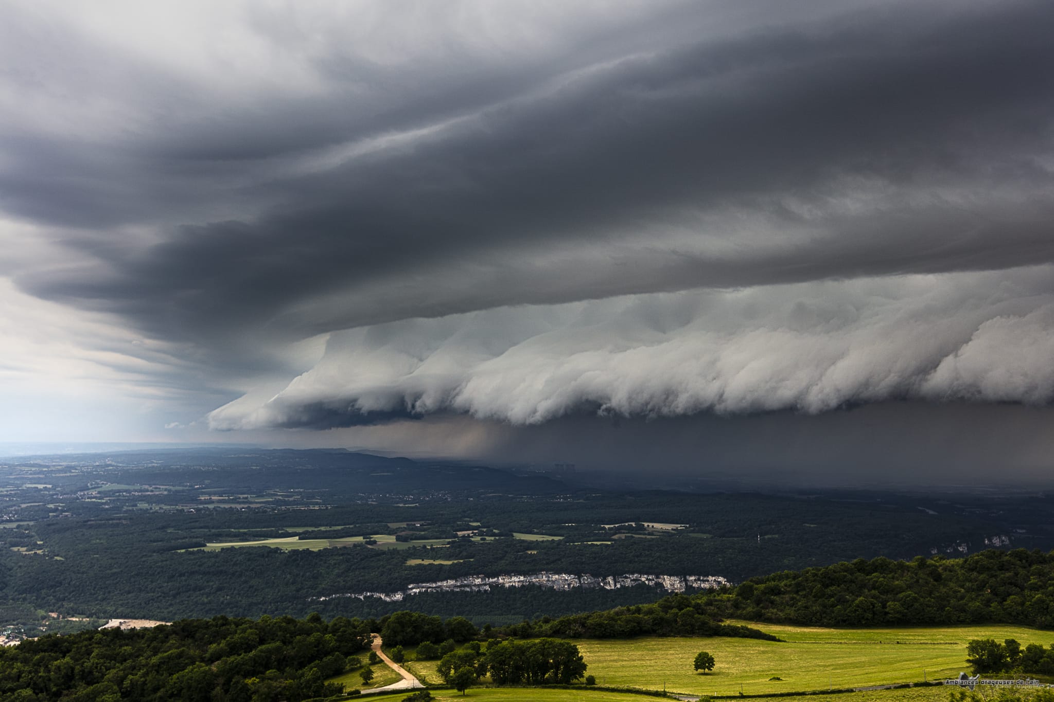 les derniers instants ou il me fut possible de le photographier - 04/06/2020 19:46 - brice volo