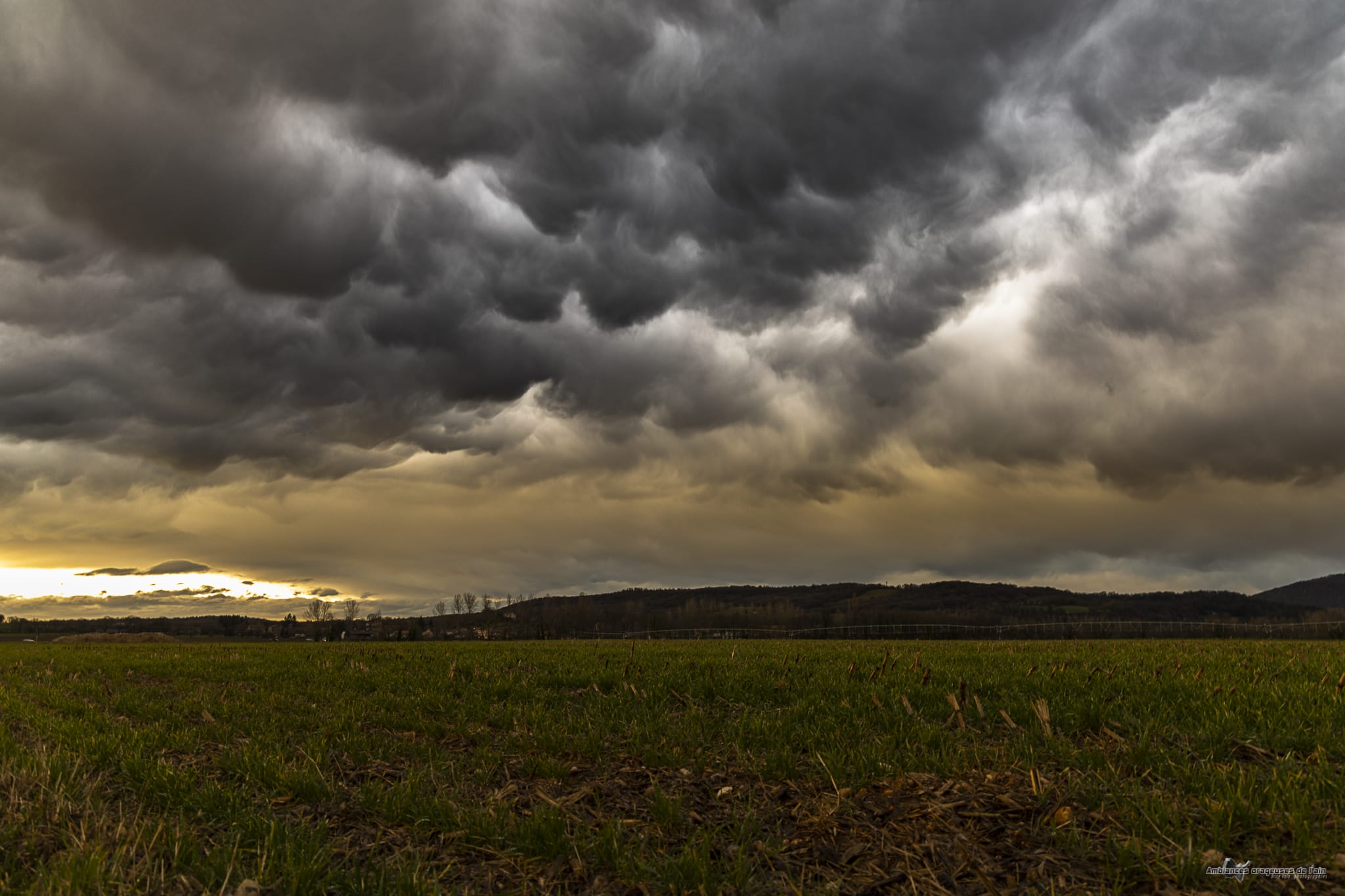 Mammatus au soleil couchant dans l'Ain. - 05/03/2020 19:00 - Brice Volo
