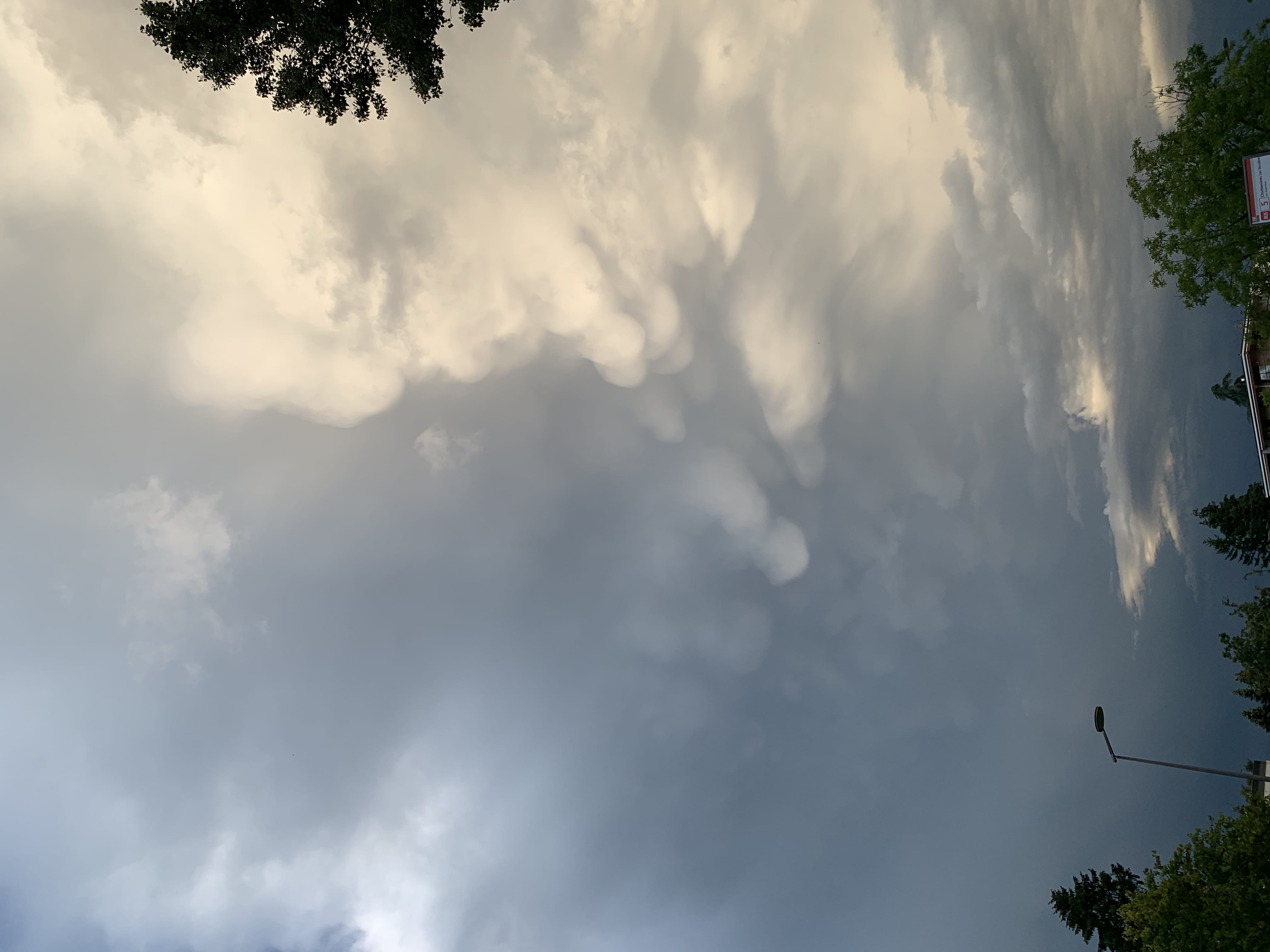 Mammatus suite aux orages survenus entre 18 et 20h sur le Lyonnais le 18 juin. Photo prise à Tassin La Demi Lune. - 18/06/2020 20:58 - MICKAEL PEREZ