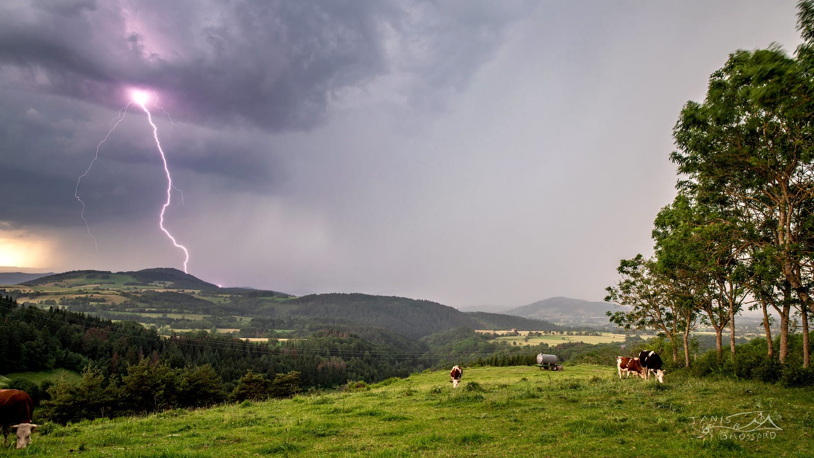 L'orage se situait non loin de Brioude dans la haute Loire, ambiance électrique à la hauteur de ce que j'espérais, en premier plan les vaches ignorent complètement le danger qui arrive peu à peu sur elles - 30/06/2019 17:27 - Janis brossard