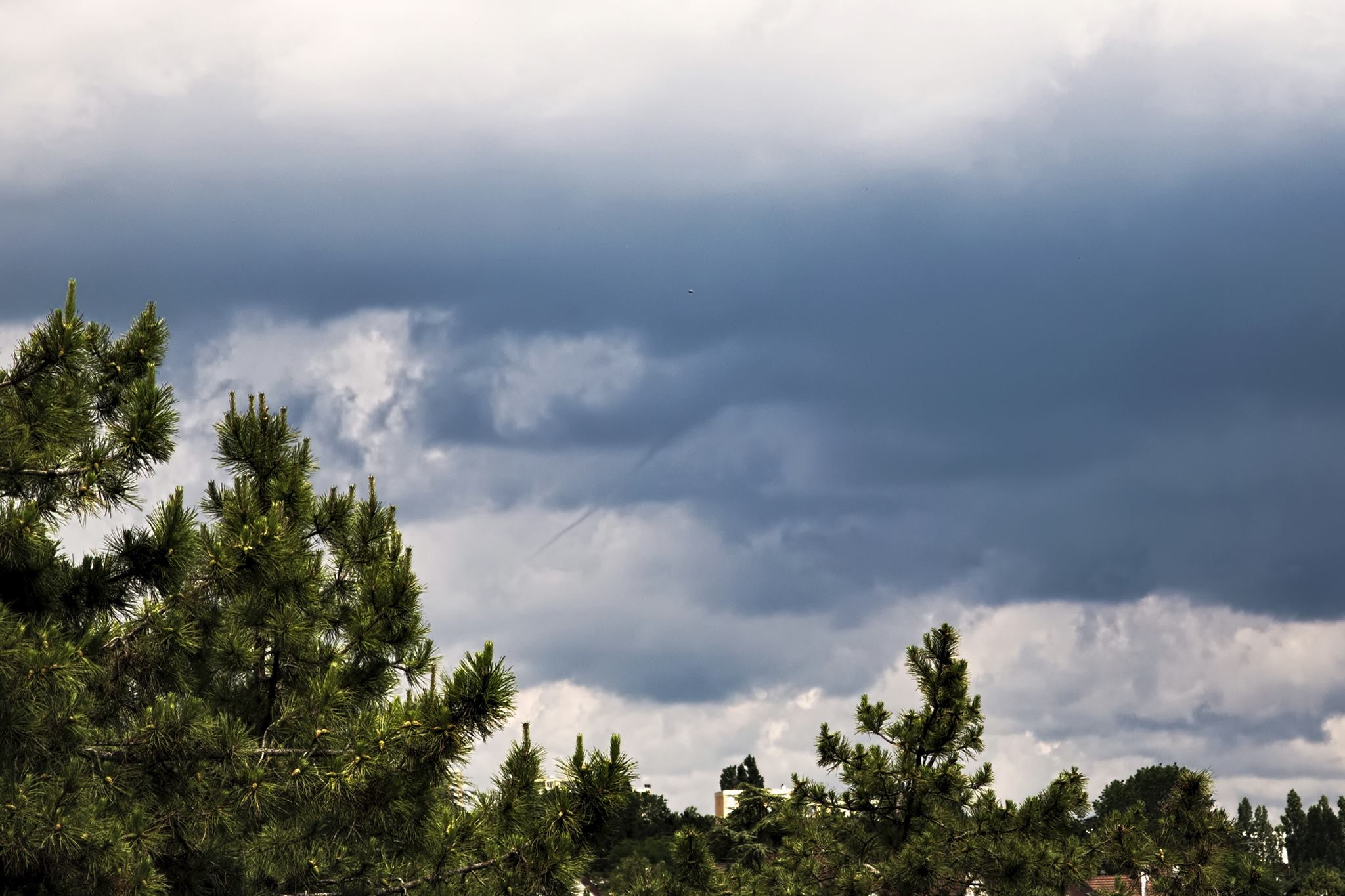 Tuba observé aujourd'hui aux environs de Dijon (15-20km au NO), sous une cellule orageuse à développement rapide. Photo prise aux environs de 11h50, le phénomène était à son développement maximum et aura duré près de 10 min. - 03/06/2017 12:00 - François LEGRAND