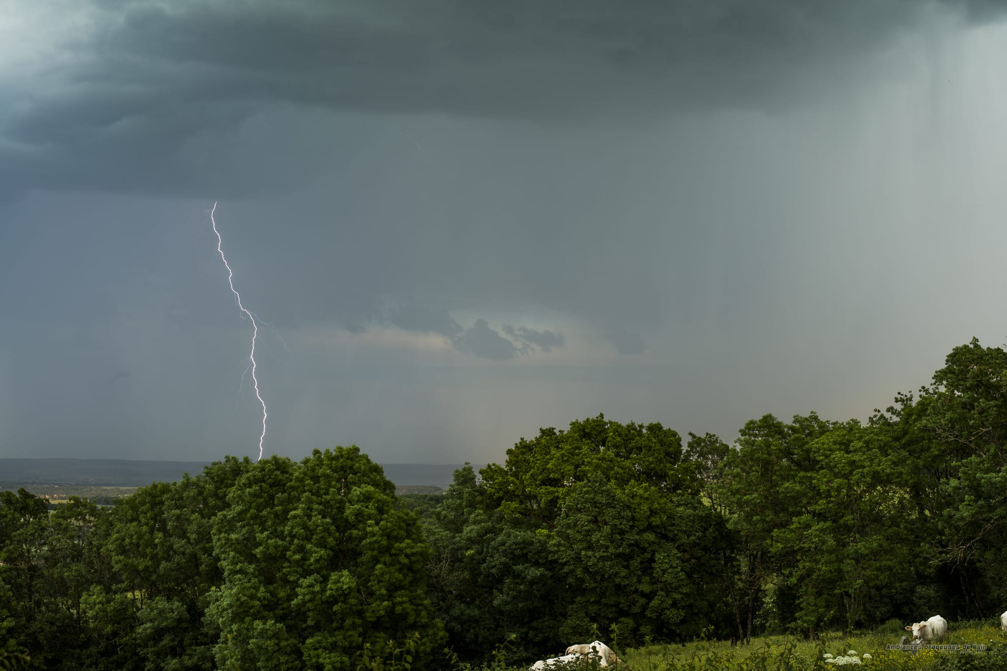 foudre près de beaune hier soir - 04/06/2019 19:52 - brice volo