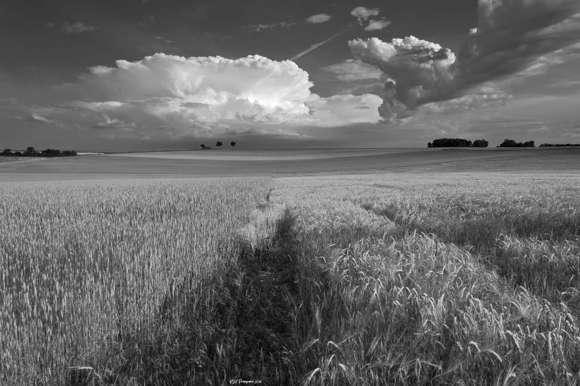 Orage arrivant sur Monbard - 04/06/2019 19:00 - Jean Sébastien Roy