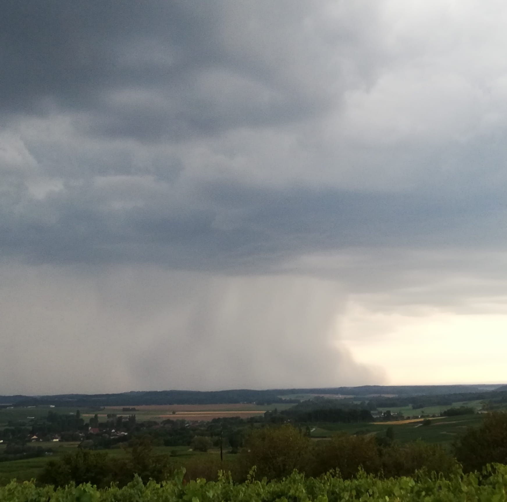 Une photo d'un orage du 6 août près de Arbois. Photo de mauvaise qualité mais on distingue un pied de pluie (microrafale humide). - 06/08/2019 19:30 - Fabien Delapierre