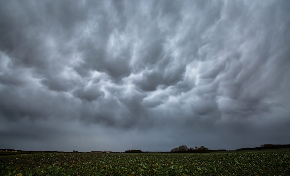 Mammatus à l'arrière du front froid orageux qui a traversé la Saône-et-Loire en cours d'après-midi. - 10/02/2019 16:12 - Louis JOUANDANNE