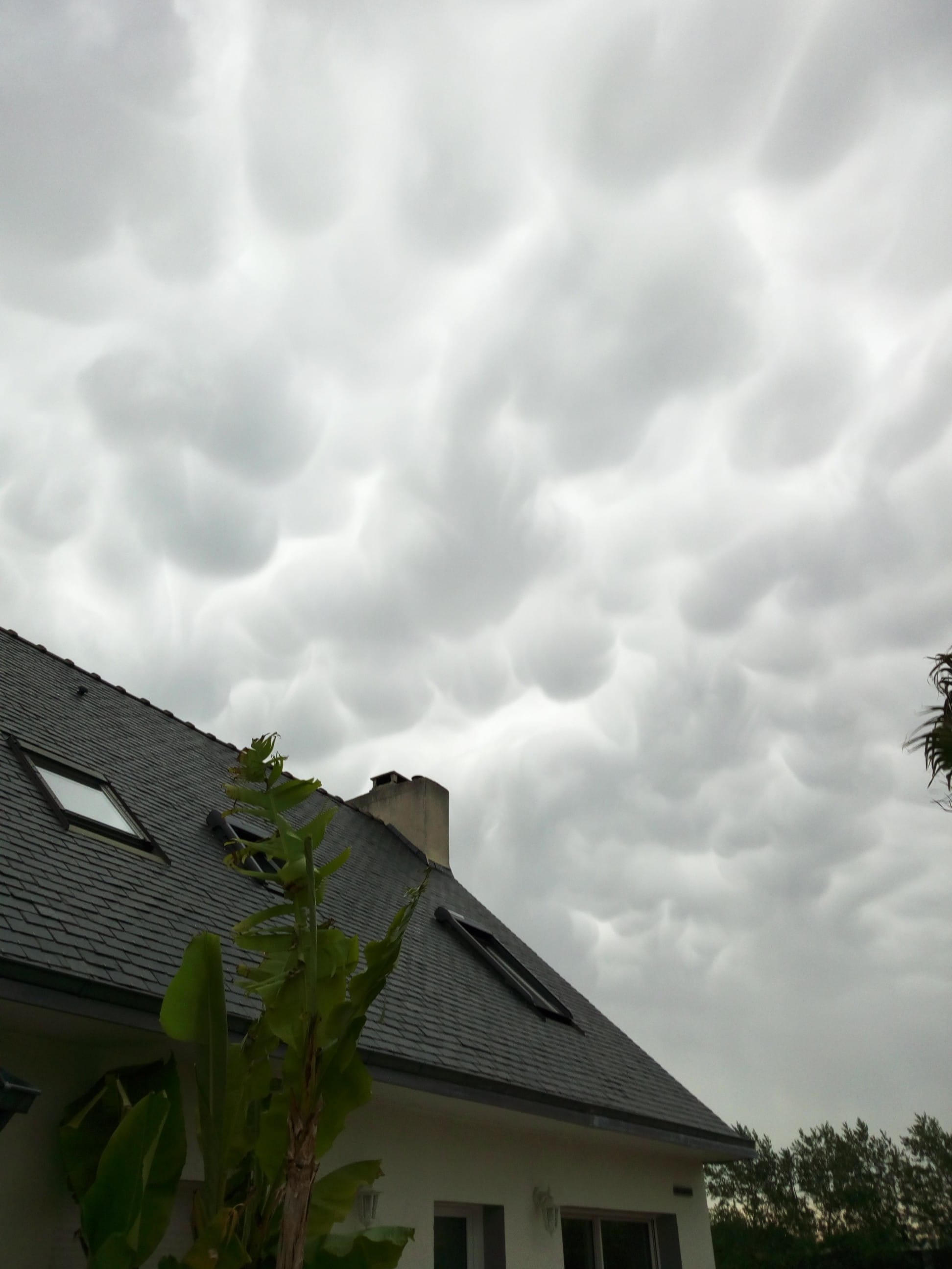 Photo prise à Penmarc'h ( Finistère sud) avant l'arrivée de la pluie. - 04/05/2020 20:00 - Caroline Hellec