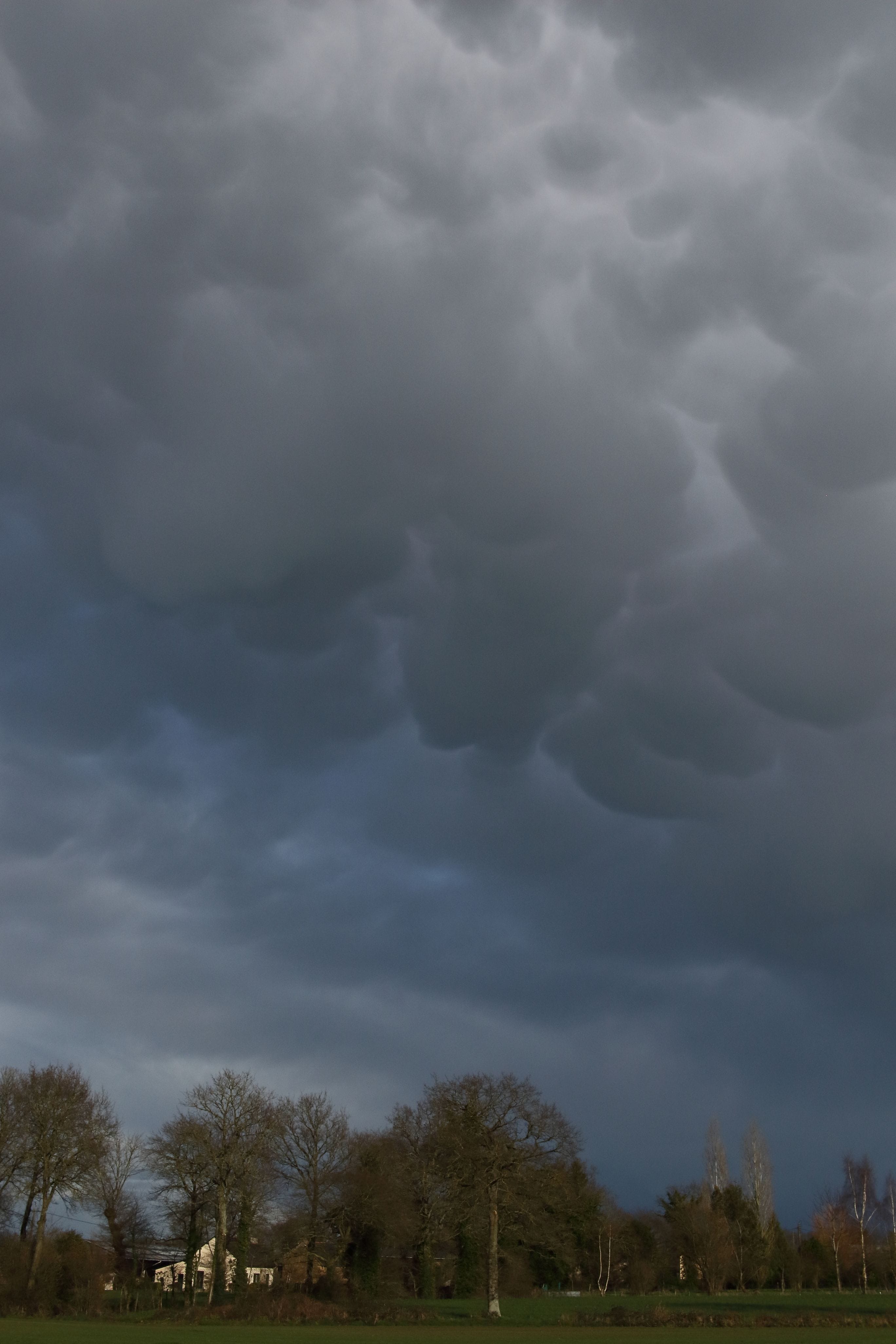 Mammatus à l'arrière d'une averse de traîne, sur la commune de Tinténiac (35). - 08/03/2020 17:10 - Léo Denoual