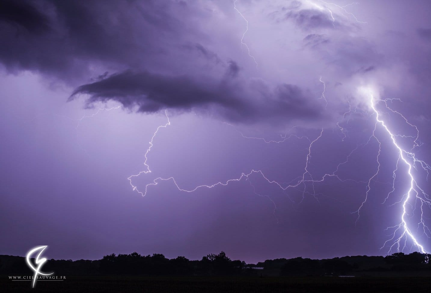 Foudre ramifiée en Bretagne dans la nuit du 8 au 9 juin. - 09/06/2018 02:00 - Thibault CORMIER