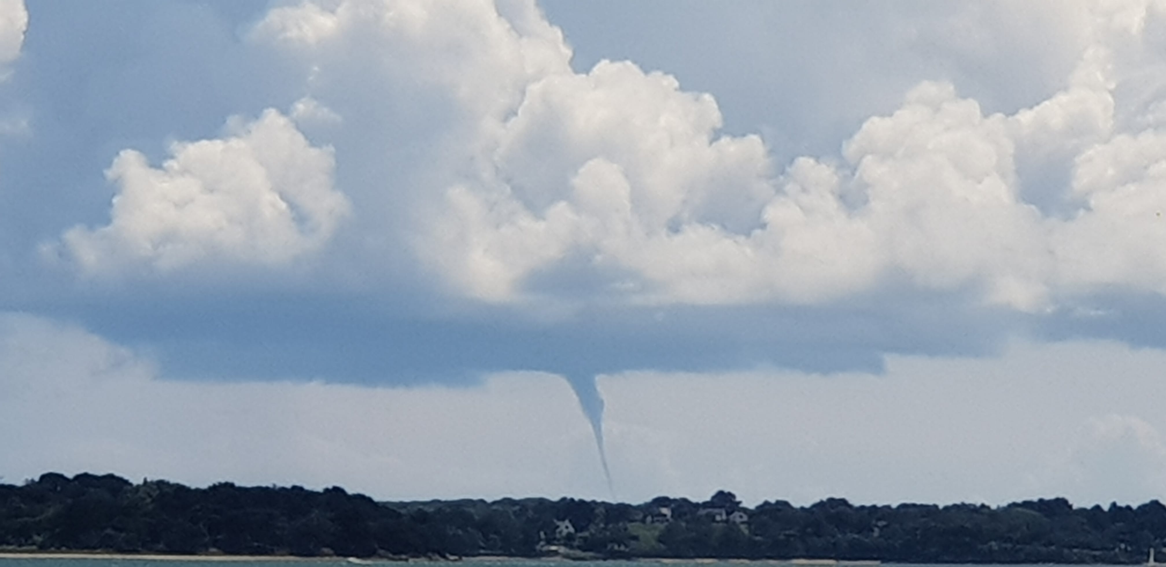 Tuba observé ce lundi depuis l île aux Moines au large de Sarzeau - 10/06/2019 15:00 - Fabrice Terefenko