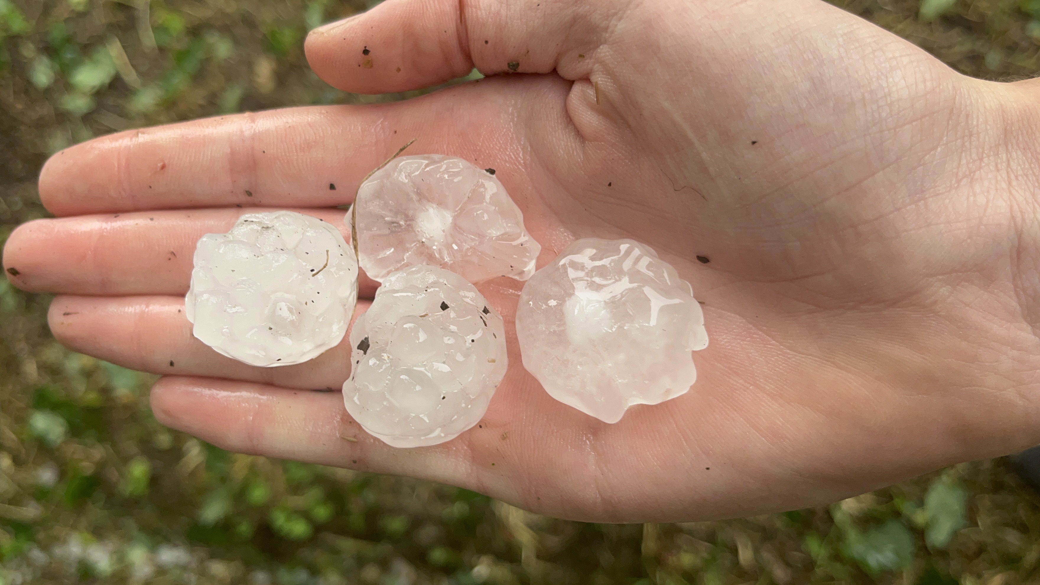 fort orage de grêles localisé à Sainte-Tréphine dans les Cotes d'Armor, lors des orages qui ont touché une majeure partie de la Bretagne et de la France le 16 juillet 2026 . - 16/07/2026 16:36 - MARIANNE PLOET