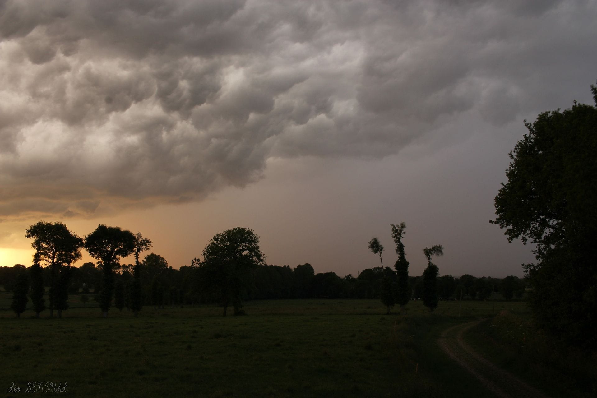 Photographie prise sur la commune de Saint Domineuc (35) lors du passage du bow echo en soirée.
On peut apercevoir un éclair intranuageux sur la partie droite de l'image. - 26/05/2018 21:22 - Léo Denoual