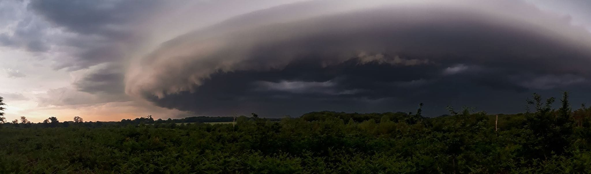 Photo prise dans la forêt de Rennes - 26/05/2018 20:00 - Clément Le Corre