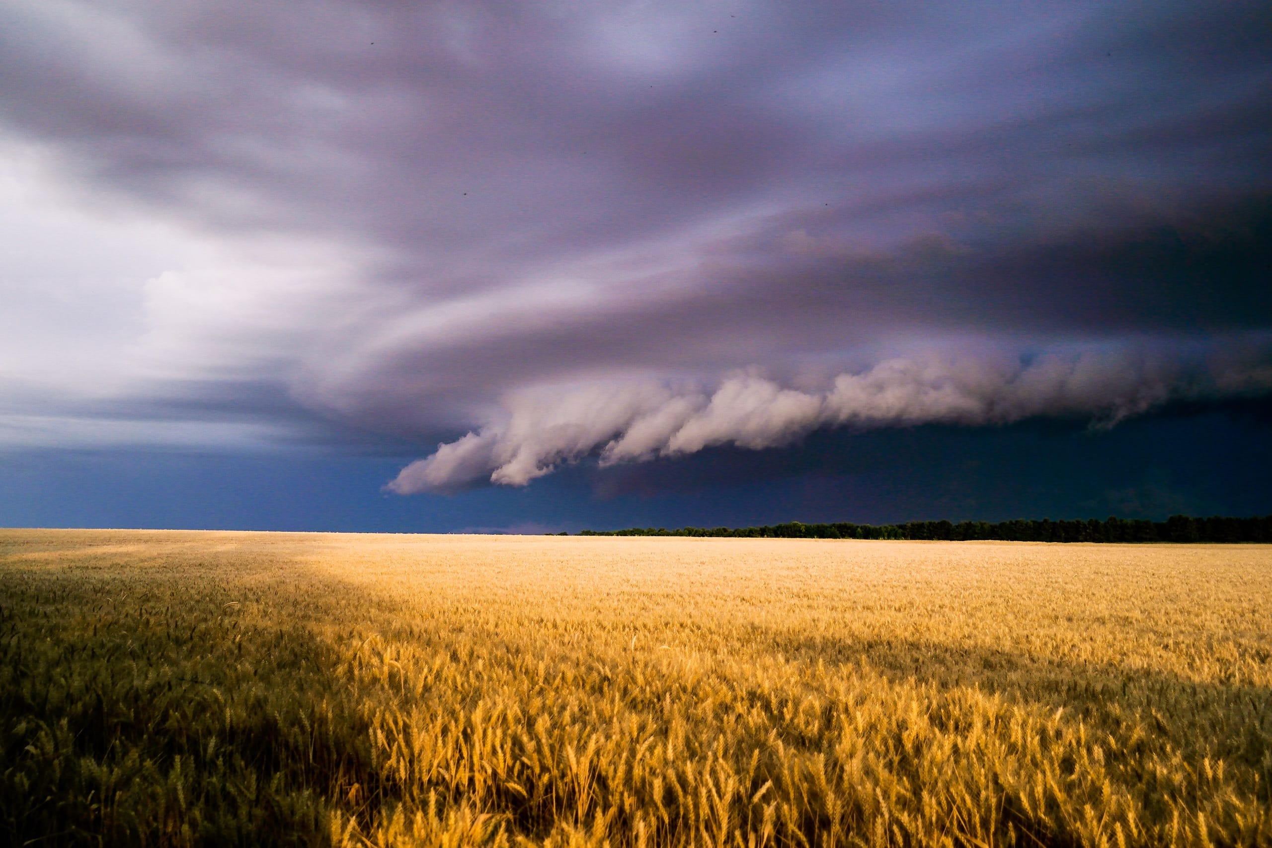 Arcus photographié en Eure et Loir proche Auneau - 28/06/2017 20:45 - Nicolas Breant