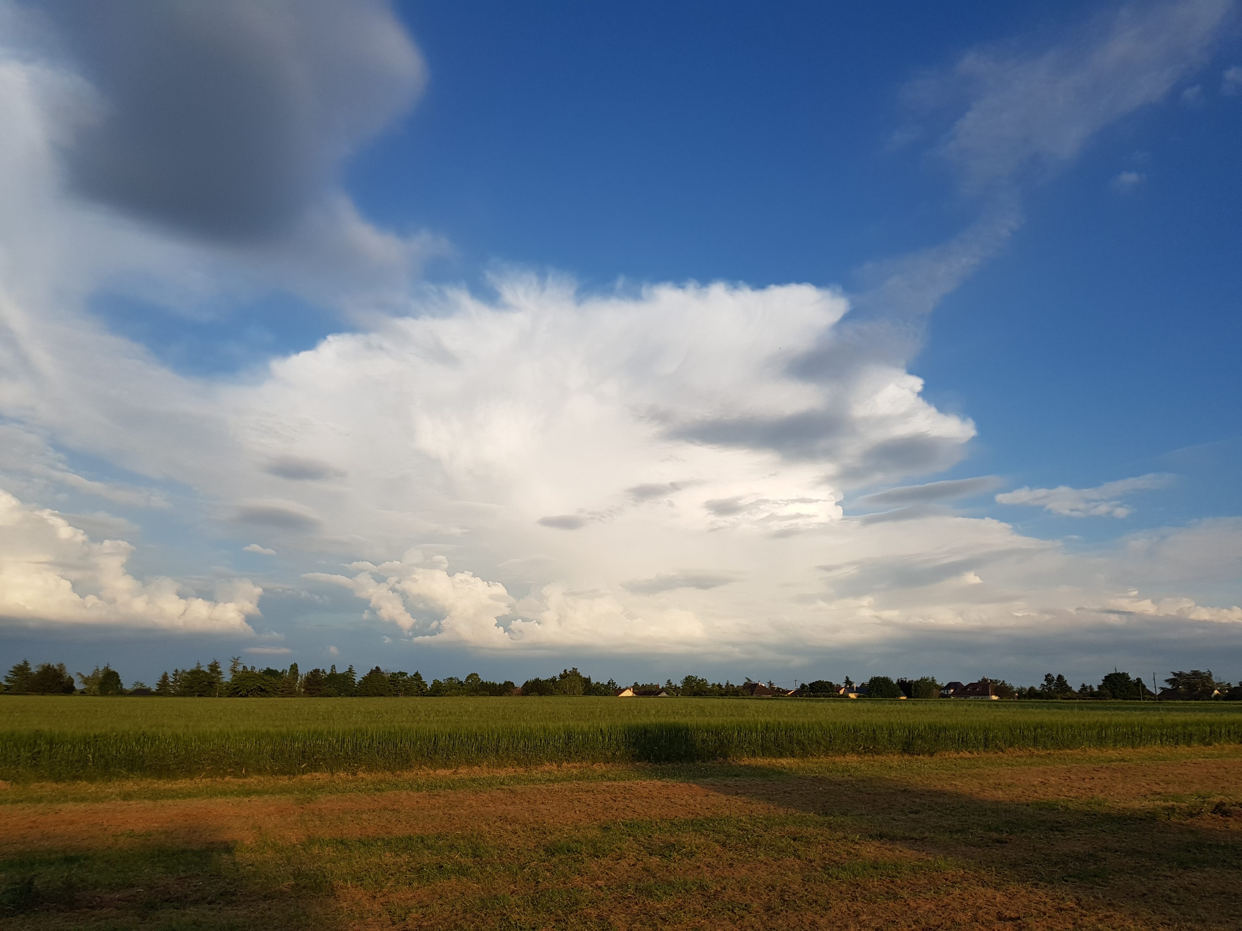 Cumulonimbus pris depuis Issoudun. - 03/06/2021 20:48 - Andrea Pirrotta