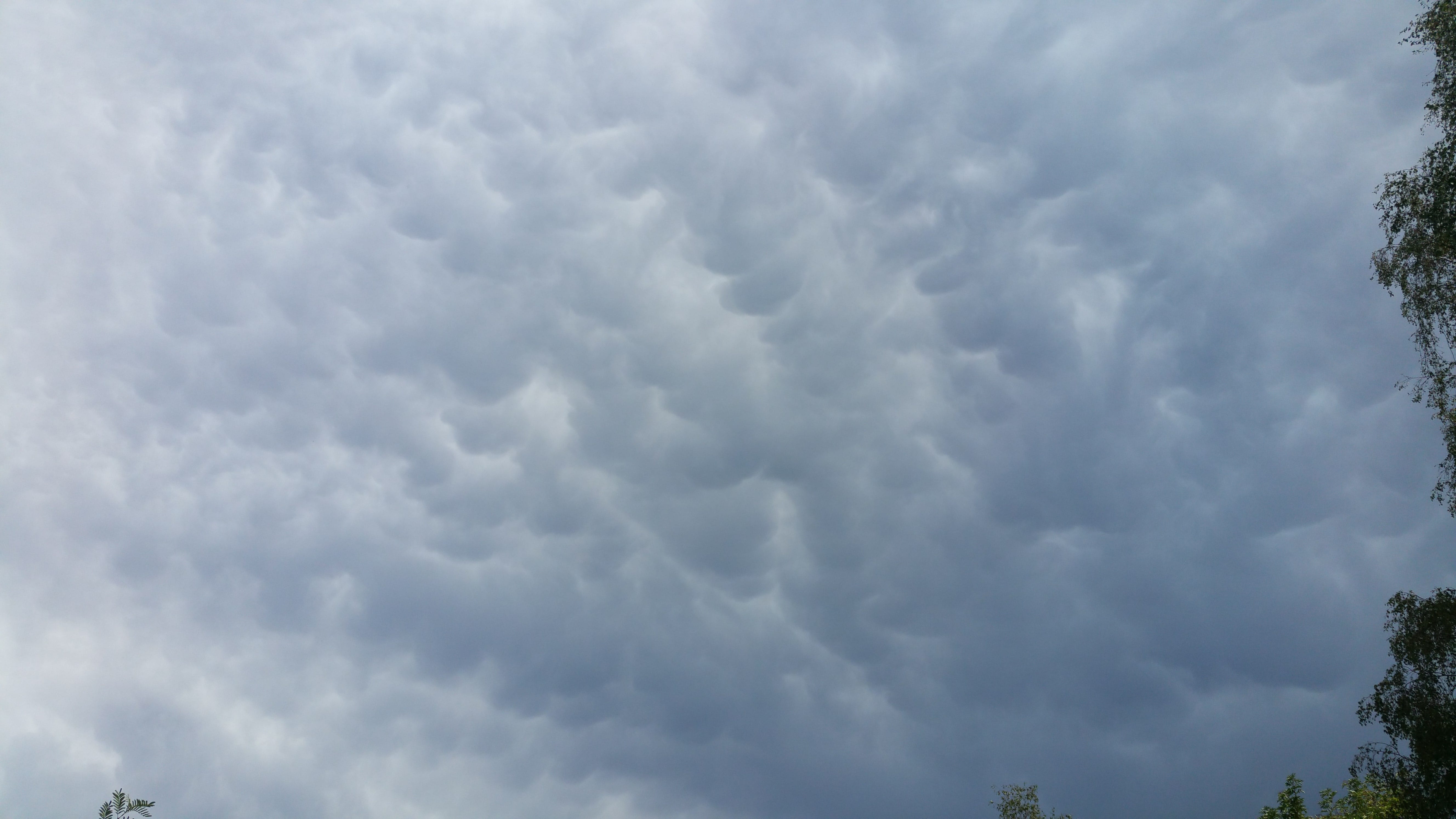 Mammatus dans le ciel de Tours - 12/08/2019 15:00 - Matthieu Pagès