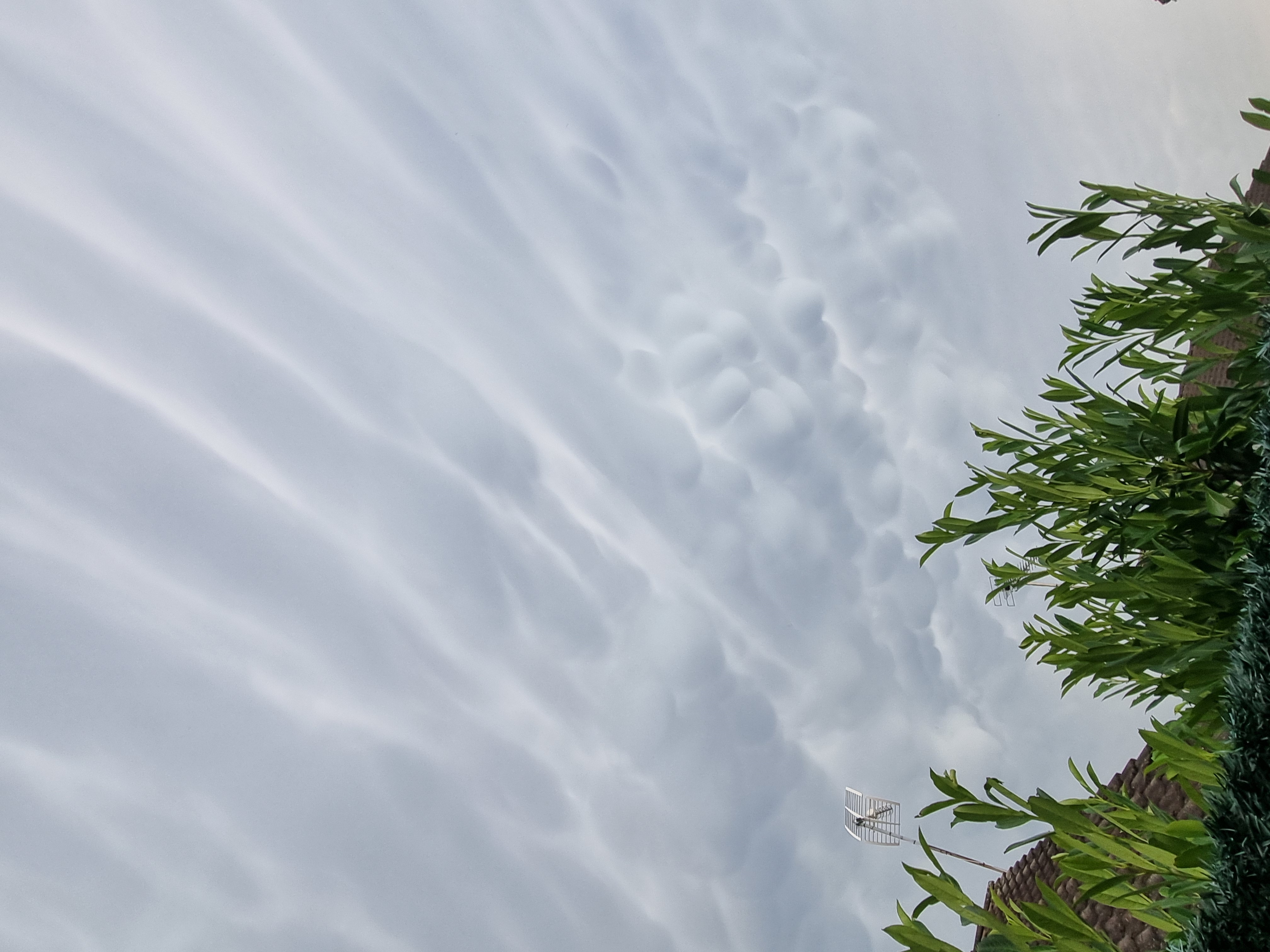 Mammatus formé par l'orage frappant le nord ouest - 13/06/2025 20:07 - Imran Abraou