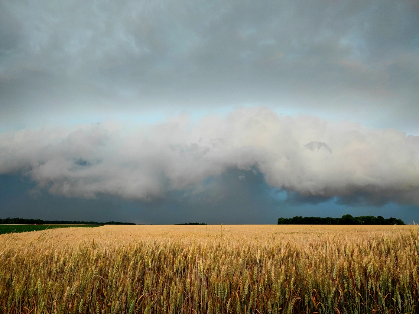 Orage progressant sur le département du Loiret. - 18/06/2023 16:00 -  JUL