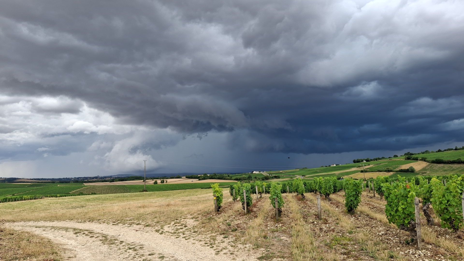 Orage violent à Crézancy-en-Sancerre, dans le Sancerrois (18) à 17h30.
10 mm de pluie et grêles de 2-3 cm. - 23/07/2025 17:30 - Marius PECOURT