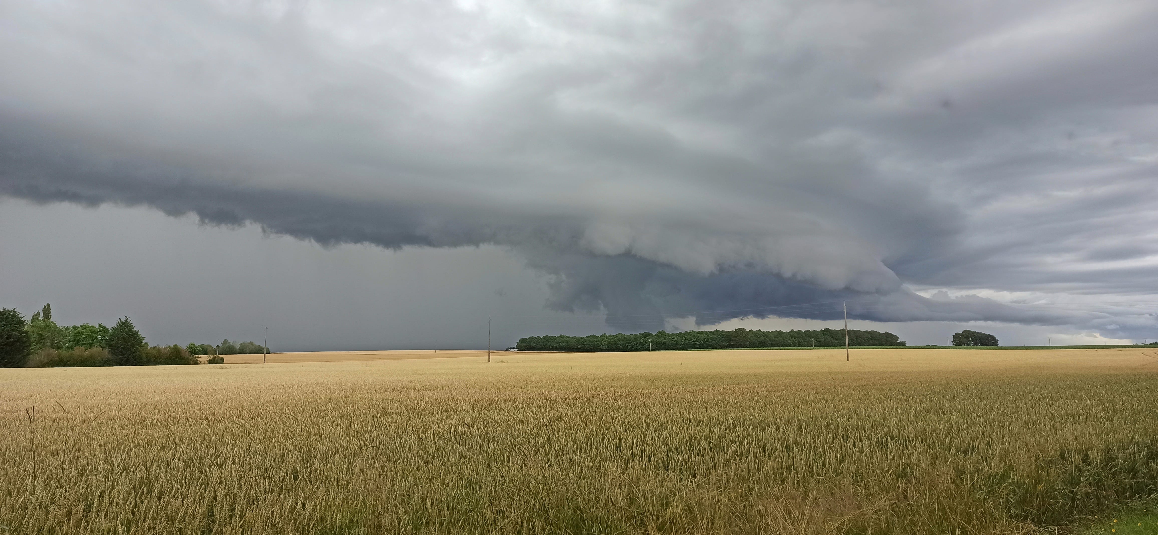 Bel orage dans la plaine, au nord ouest d'Orléans - 29/06/2021 19:56 - Anaïs Poumot