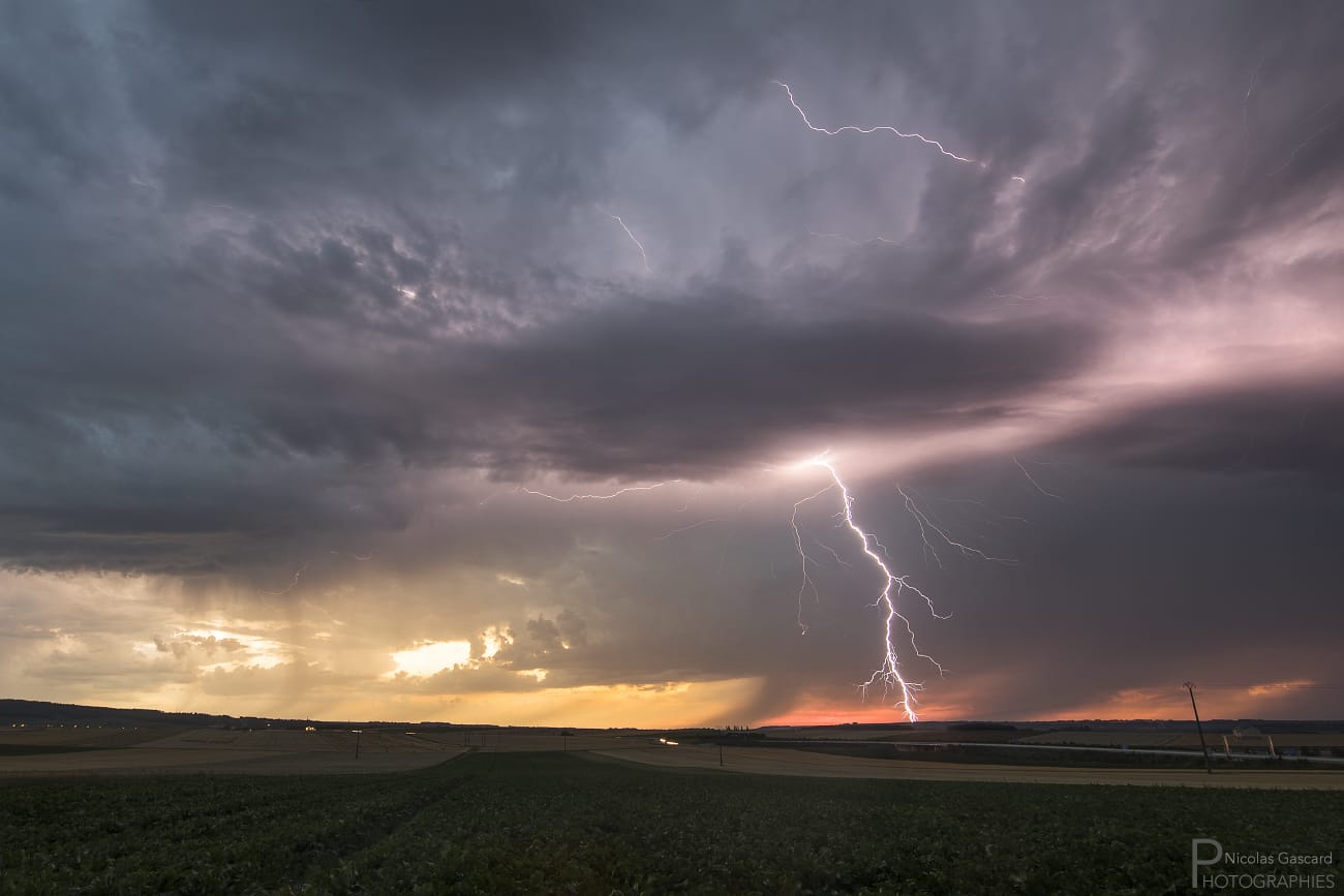 Superbe lumière au coucher du soleil en Champagne avec impact bifide. - 06/07/2017 21:00 - Nicolas GASCARD