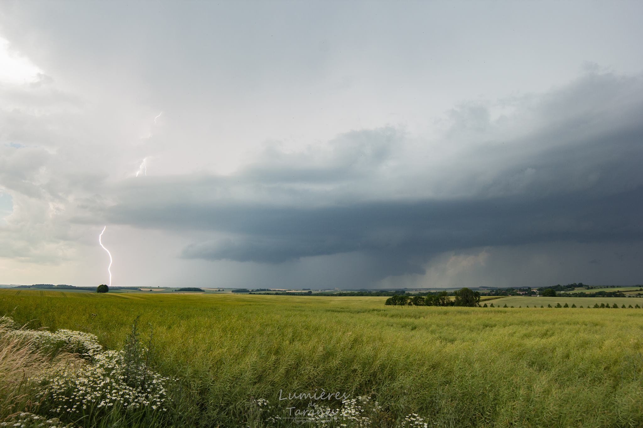 Belle cellule orageuse dans la Marne à proximité de Saint-Mard-sur-le-Mont - 15/06/2017 16:00 - Vincent QUENNOUELLE