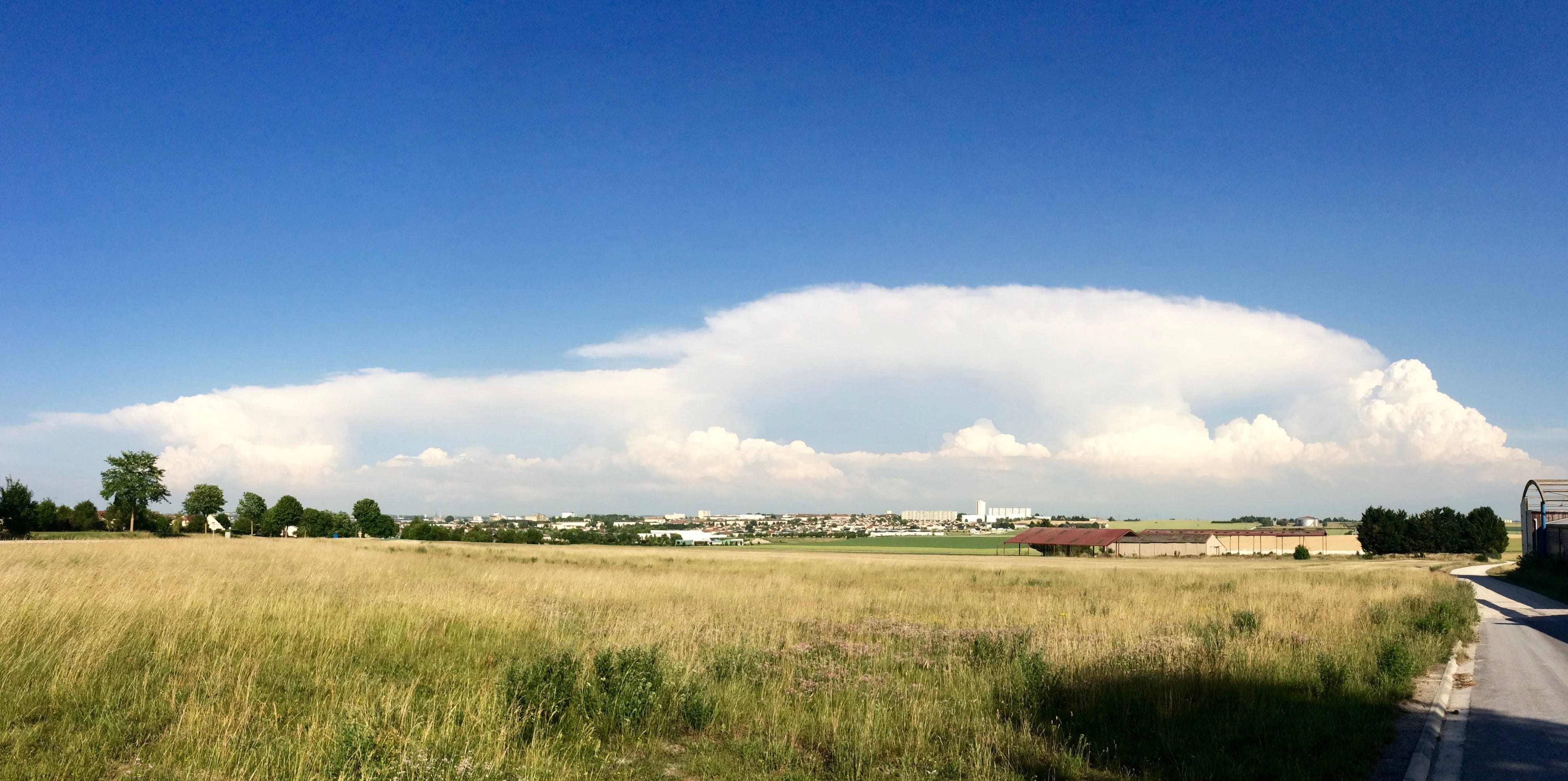 En fin de journée,  au Sud de Chalons en Champagne (Marne) - 15/06/2017 18:11 - Pascal COLIN