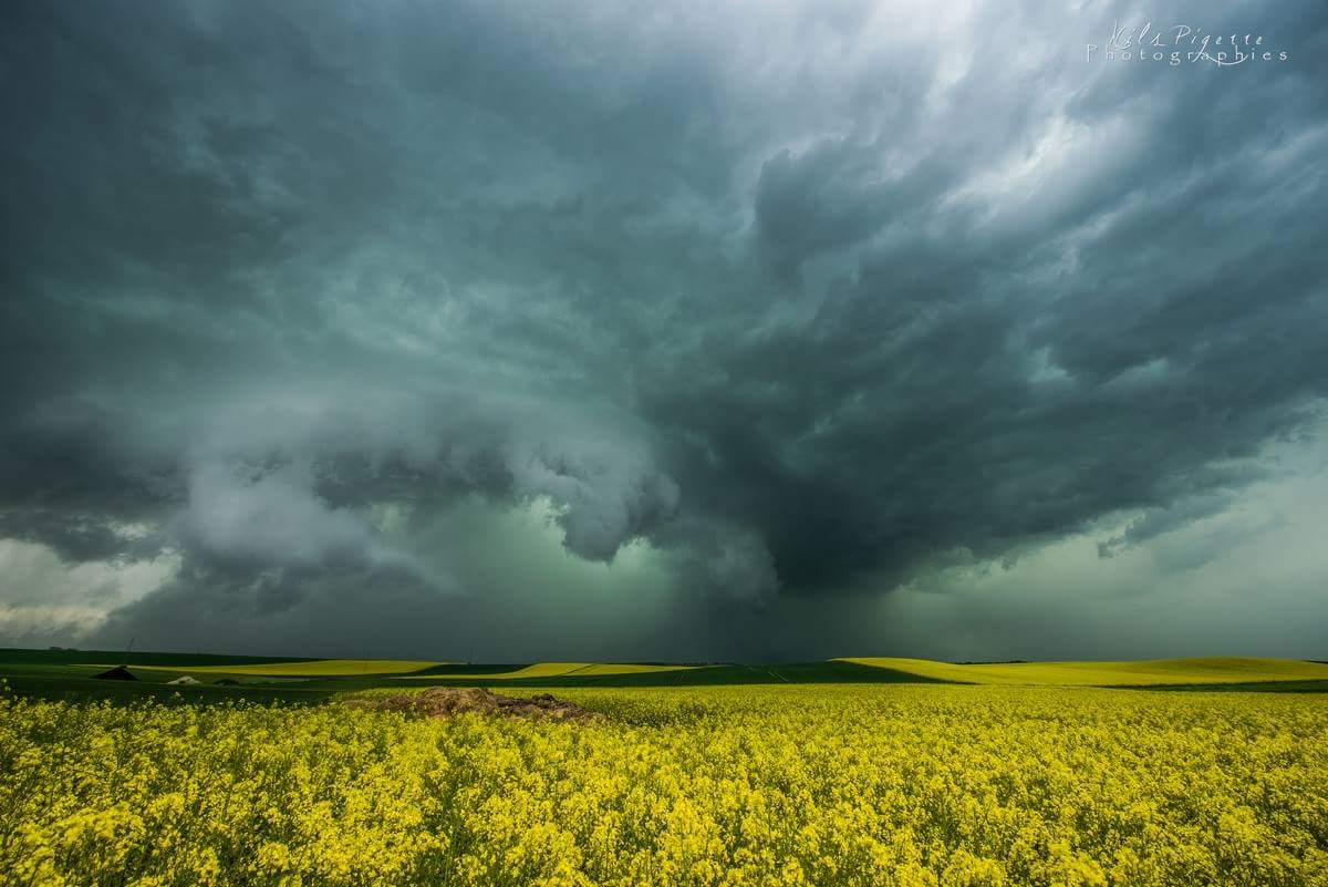 Supercellule HP bien virulente ayant donné de puissantes rafales, des grêlons de 3 à 4 cm et Une tornade 20km plus au sud de ma position. Base très tourmentée avec de nombreuses rotations biens visibles au sein de la structure. Pur moment ! - 29/04/2018 18:26 - Nils Pigerre