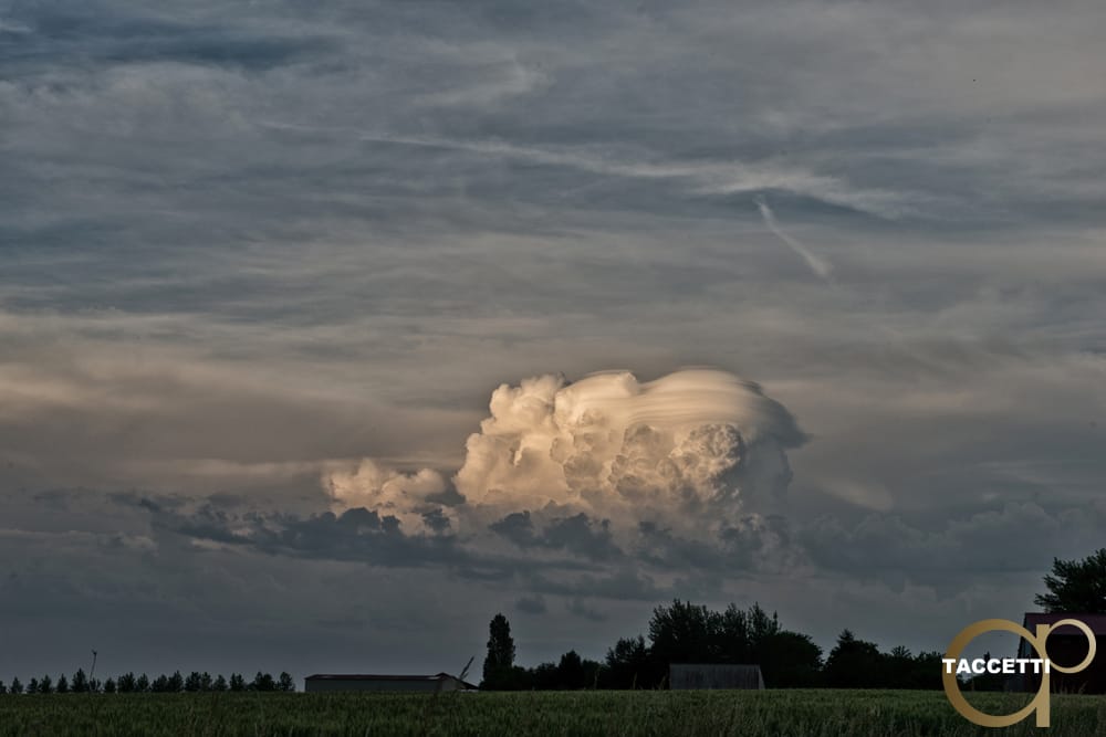 Vue sur un Pileus près de Vesilly dans la Marne - 29/05/2017 19:30 - Antoine Taccetti