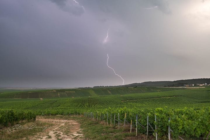 Photo prise à Verzy dans la marne - 31/07/2017 18:00 - Steeve Domergue