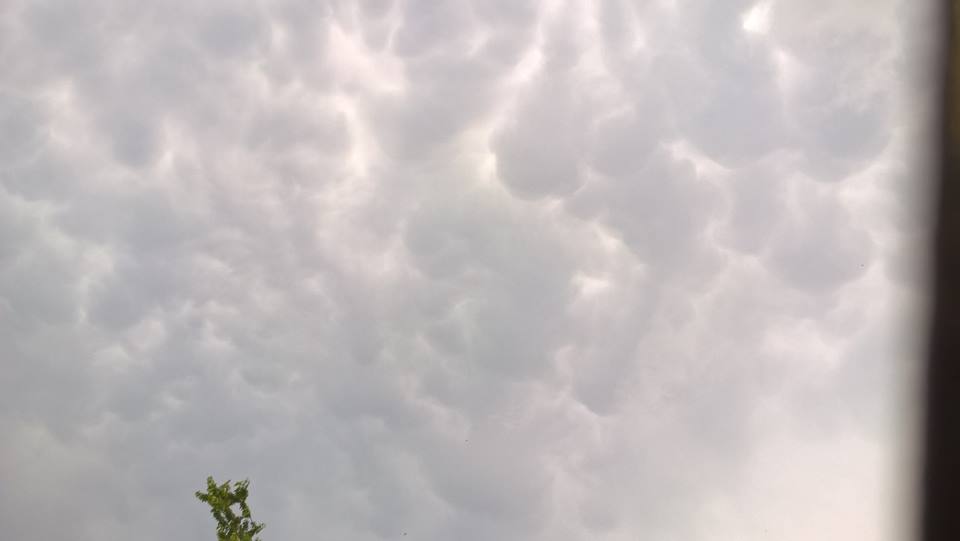 Mamatus au dessus de Saulcy( 10) - 03/07/2018 15:30 - marie chirstine guerin