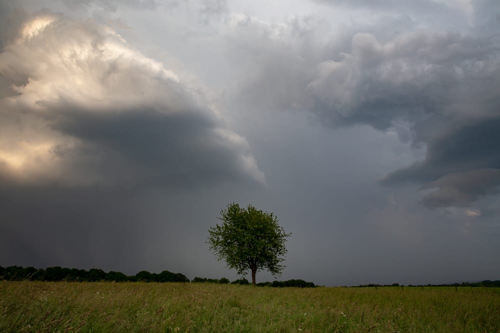 Double alimentation ? - 05/06/2019 19:50 - arnaud poncelet