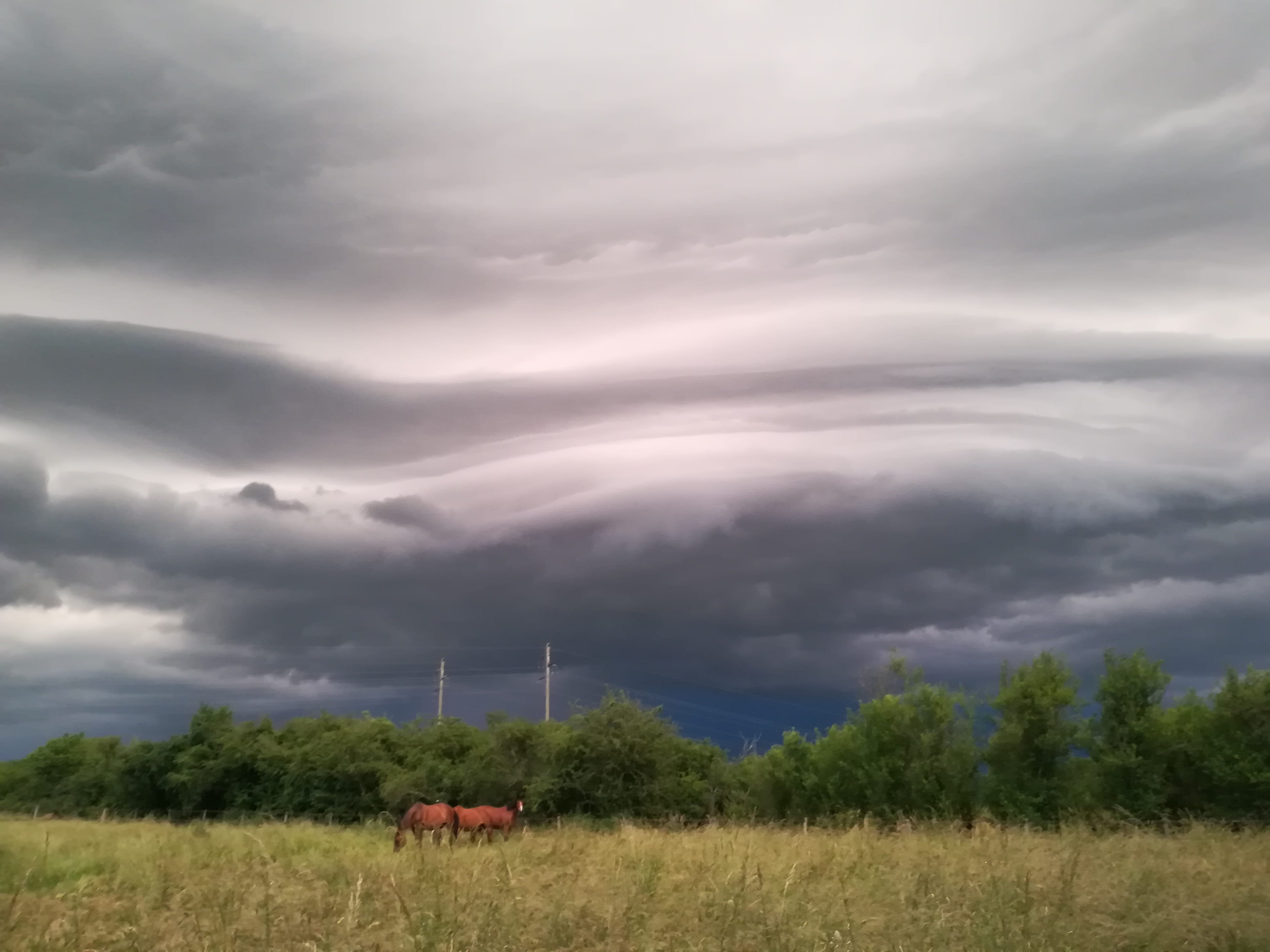 Arrivée d'un orage près de Metz 57000 - 06/06/2018 21:39 - Arnaud Mathieu