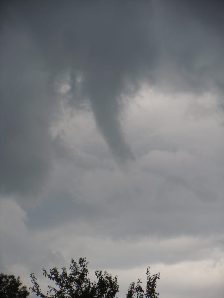 Tuba observé en début d'après-midi, au nord de la citadelle de Neuf-Brisach. - 07/06/2020 14:08 - Jean-François Christians