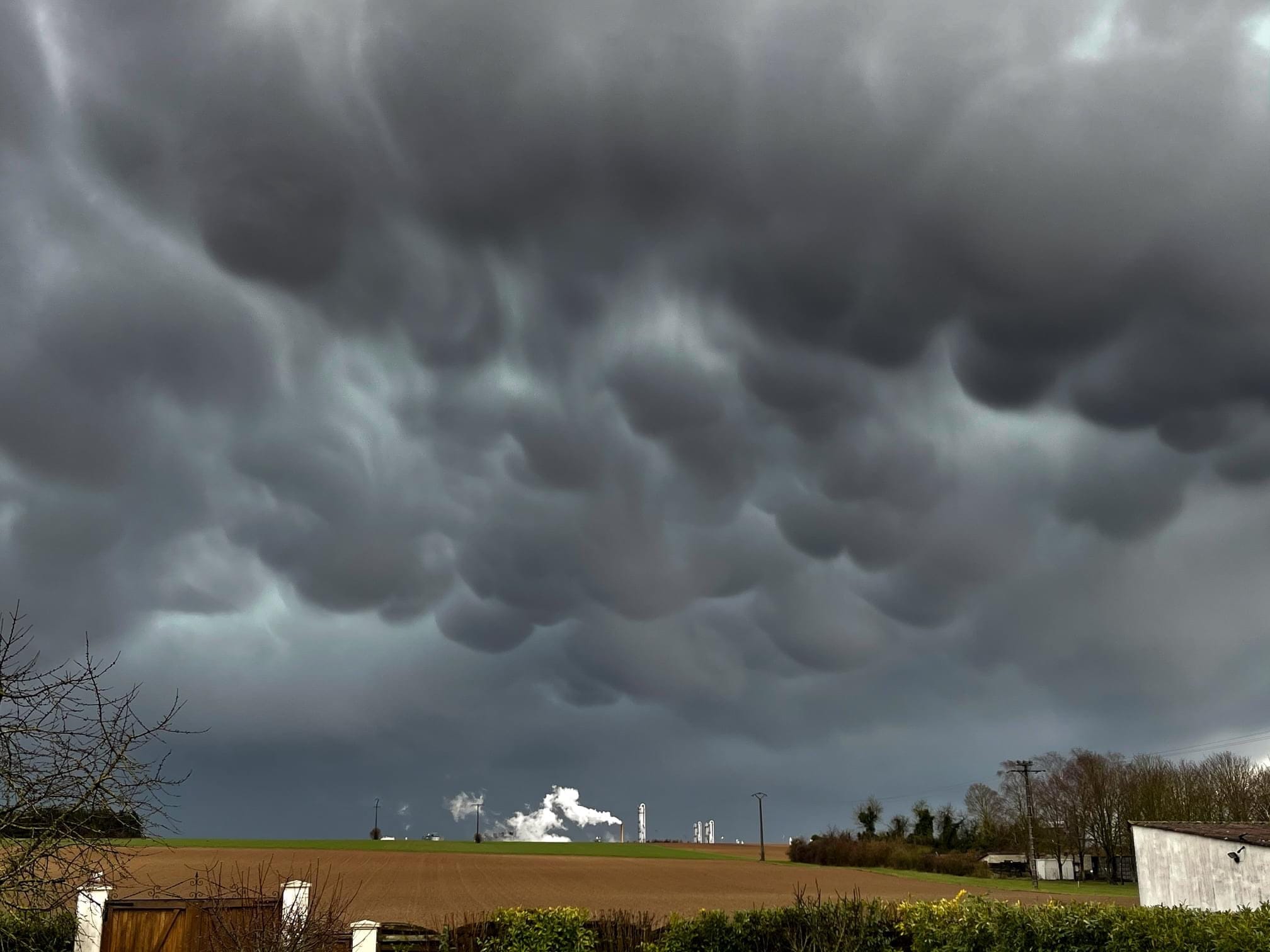 Mammatus - 12/03/2021 16:20 - Frédéric Leroux