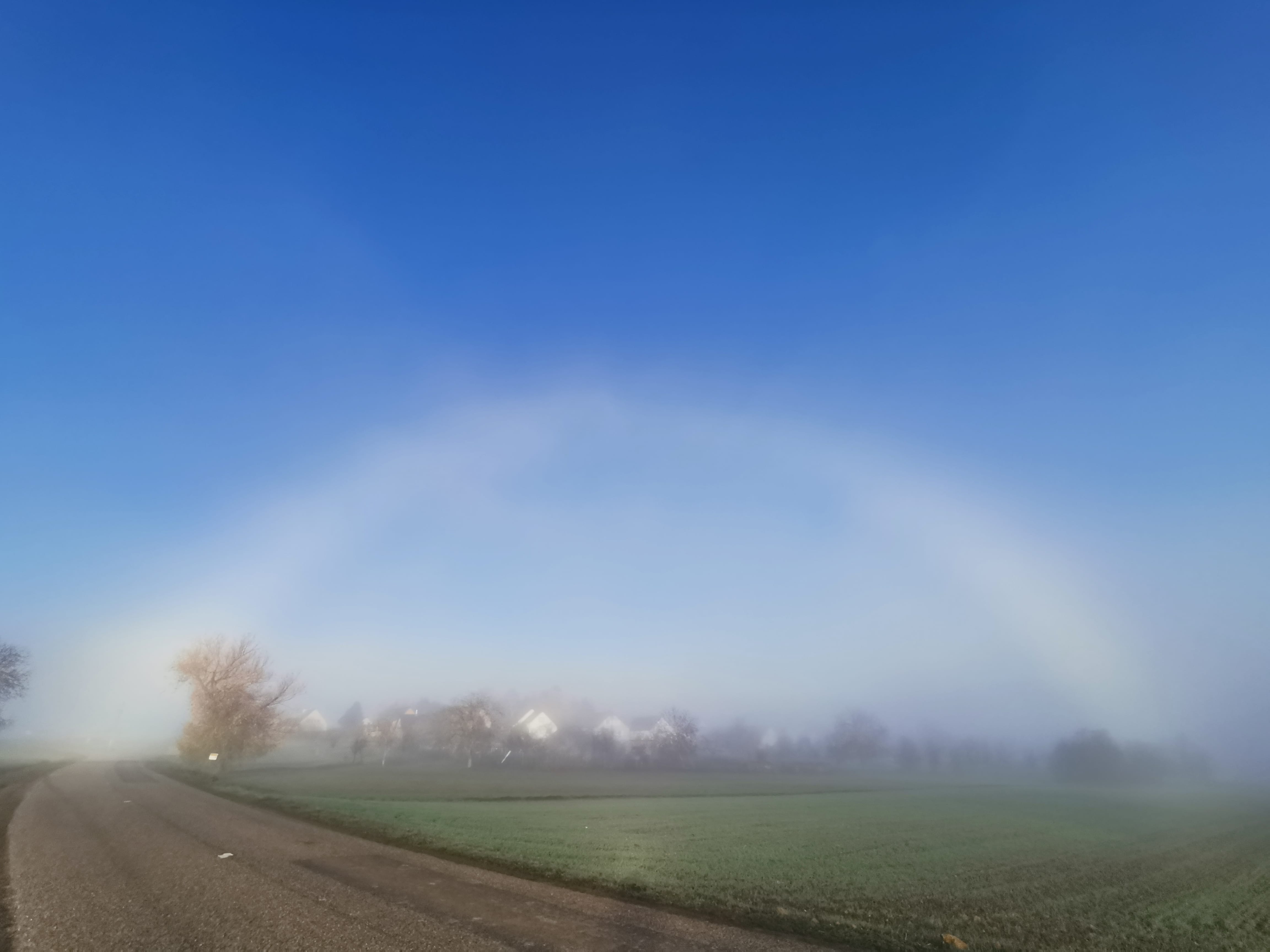 Apparition d'un fogbow (Arc blanc) dans la brume présente du côté de Dimbsthal (Sommerau, Alsace, Bas-Rhin) ce matin !! - 18/11/2020 08:54 - Sabine Lutz